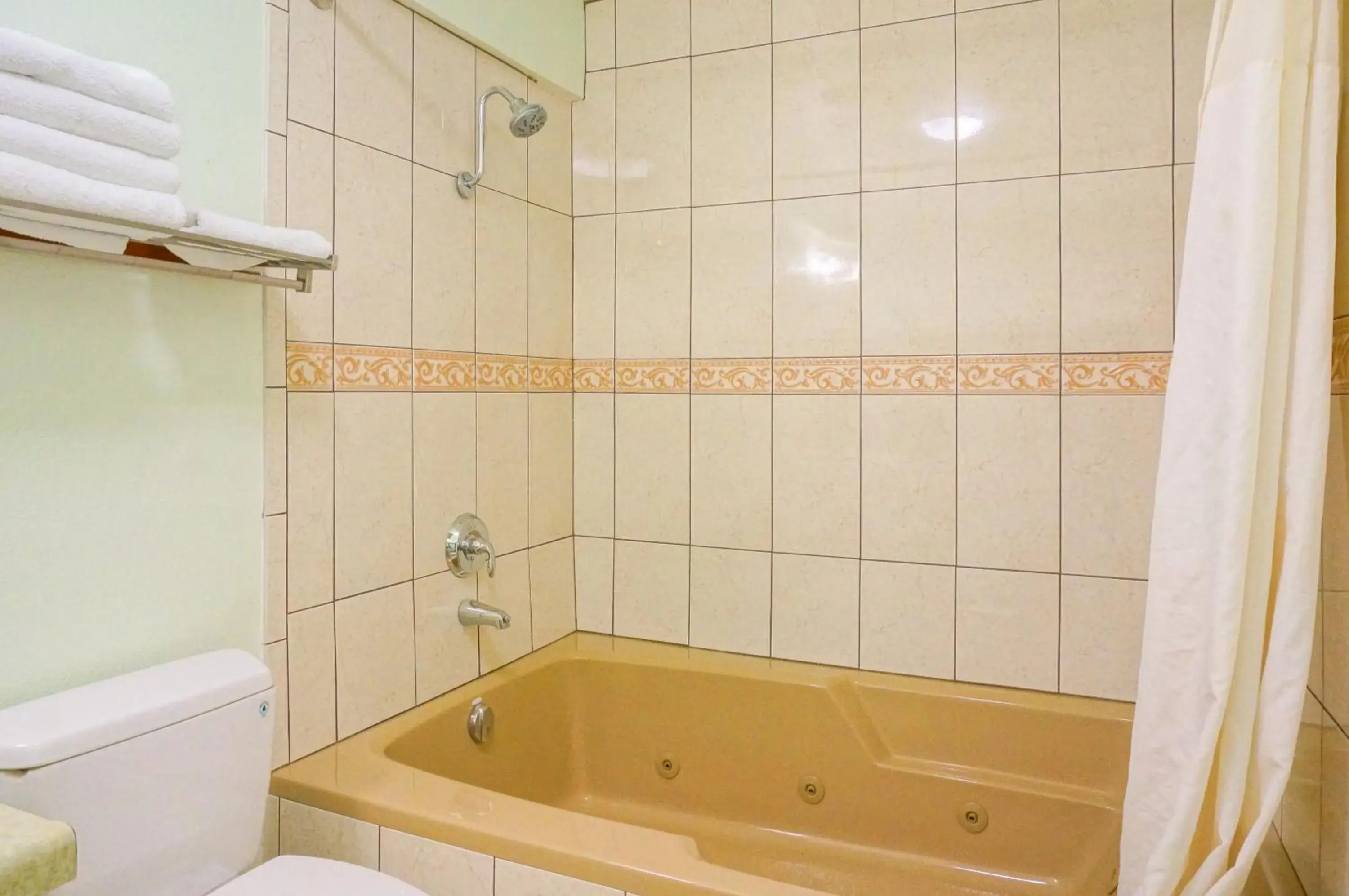 Shower, Bathroom in OceanView Motel