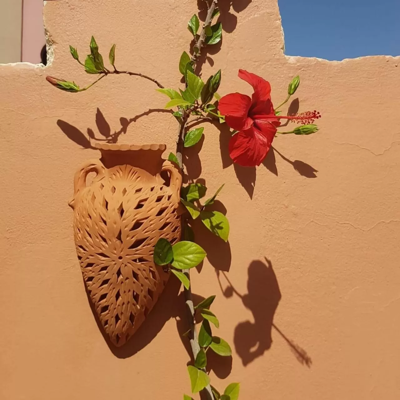 Decorative detail in Chambres d'Hôtes les amis