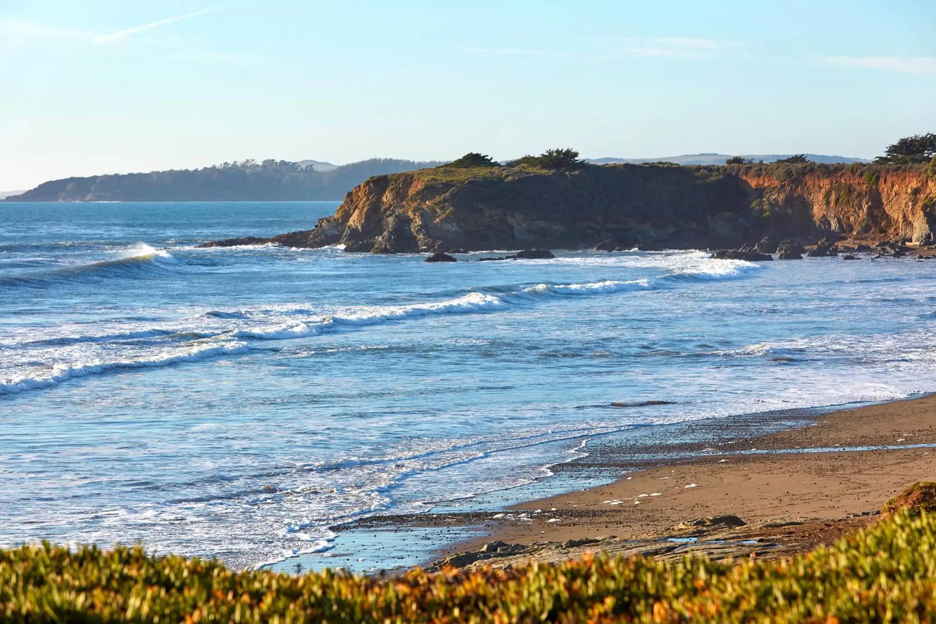 Beach in Cavalier Oceanfront Resort