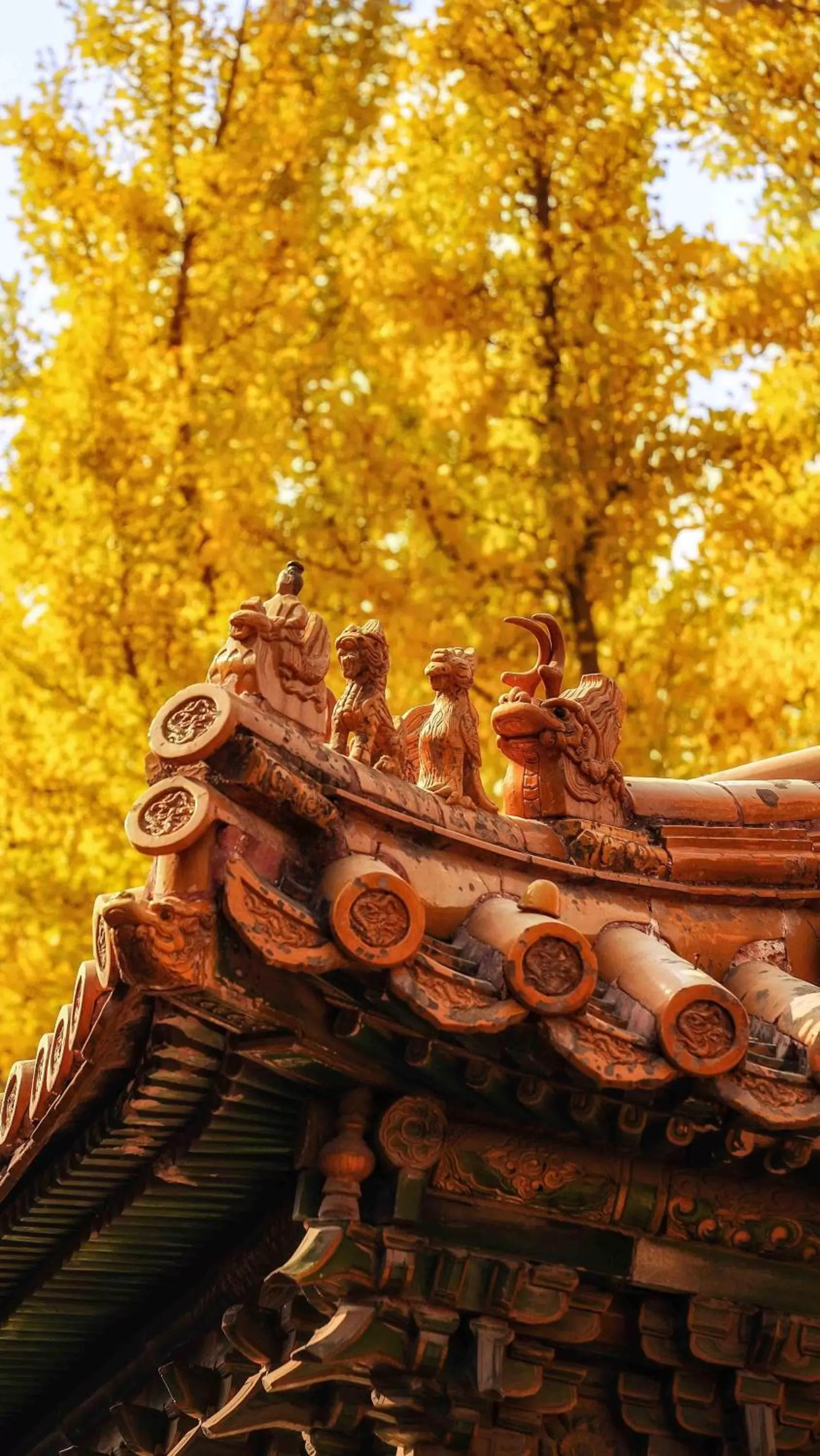 East Sacred Hotel--Beijing Tiananmen Square ,the Forbidden City,Wangfujing Street,Located in the city center