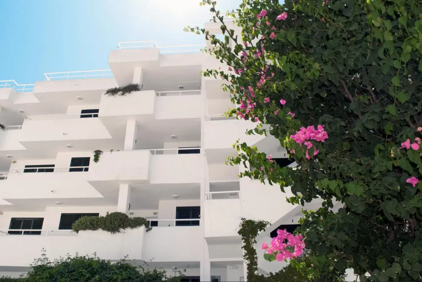 Property building in Camelina Suites Property building in Camelina Suites