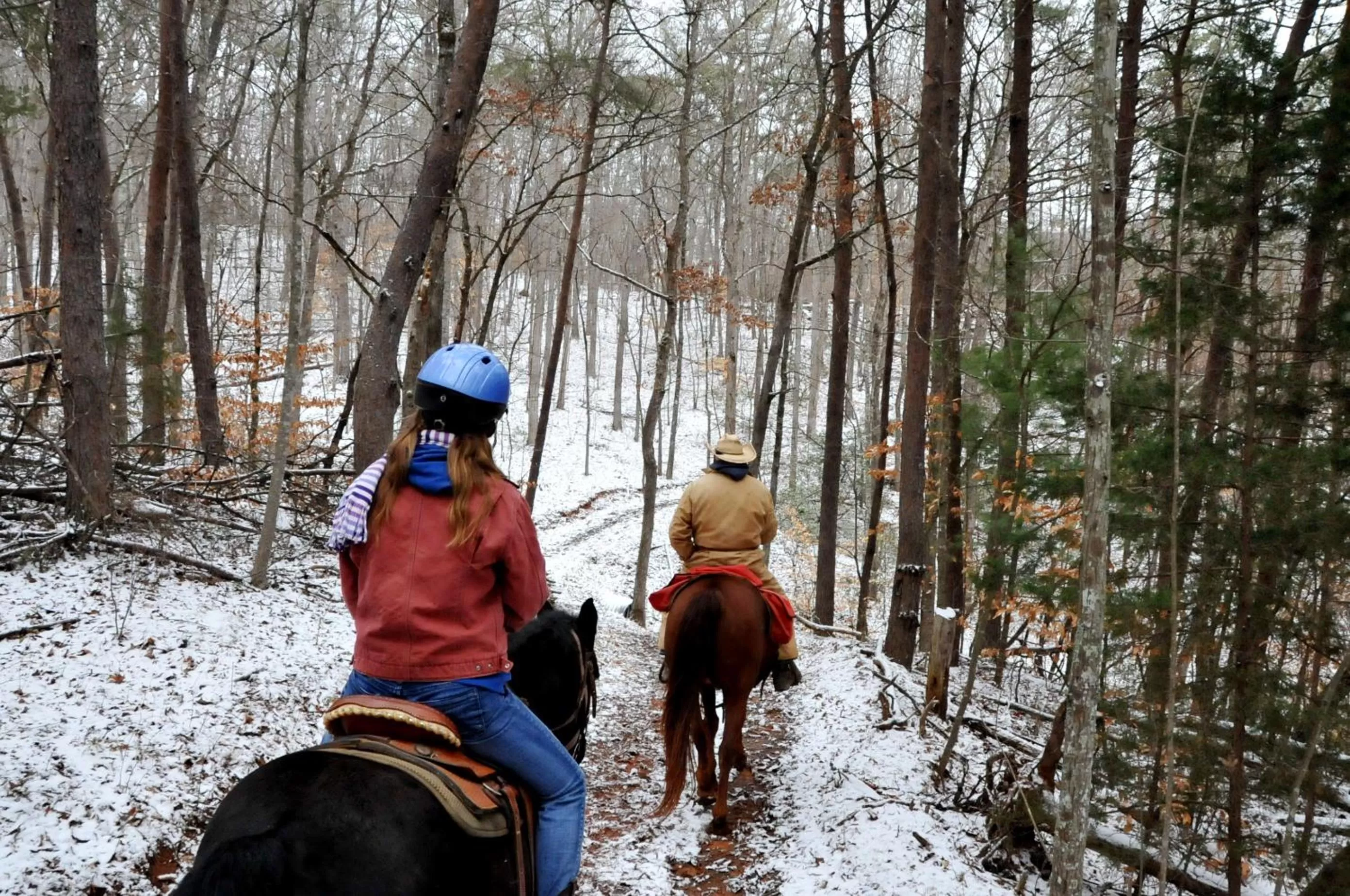 Horse-riding in Brasstown Valley Resort & Spa