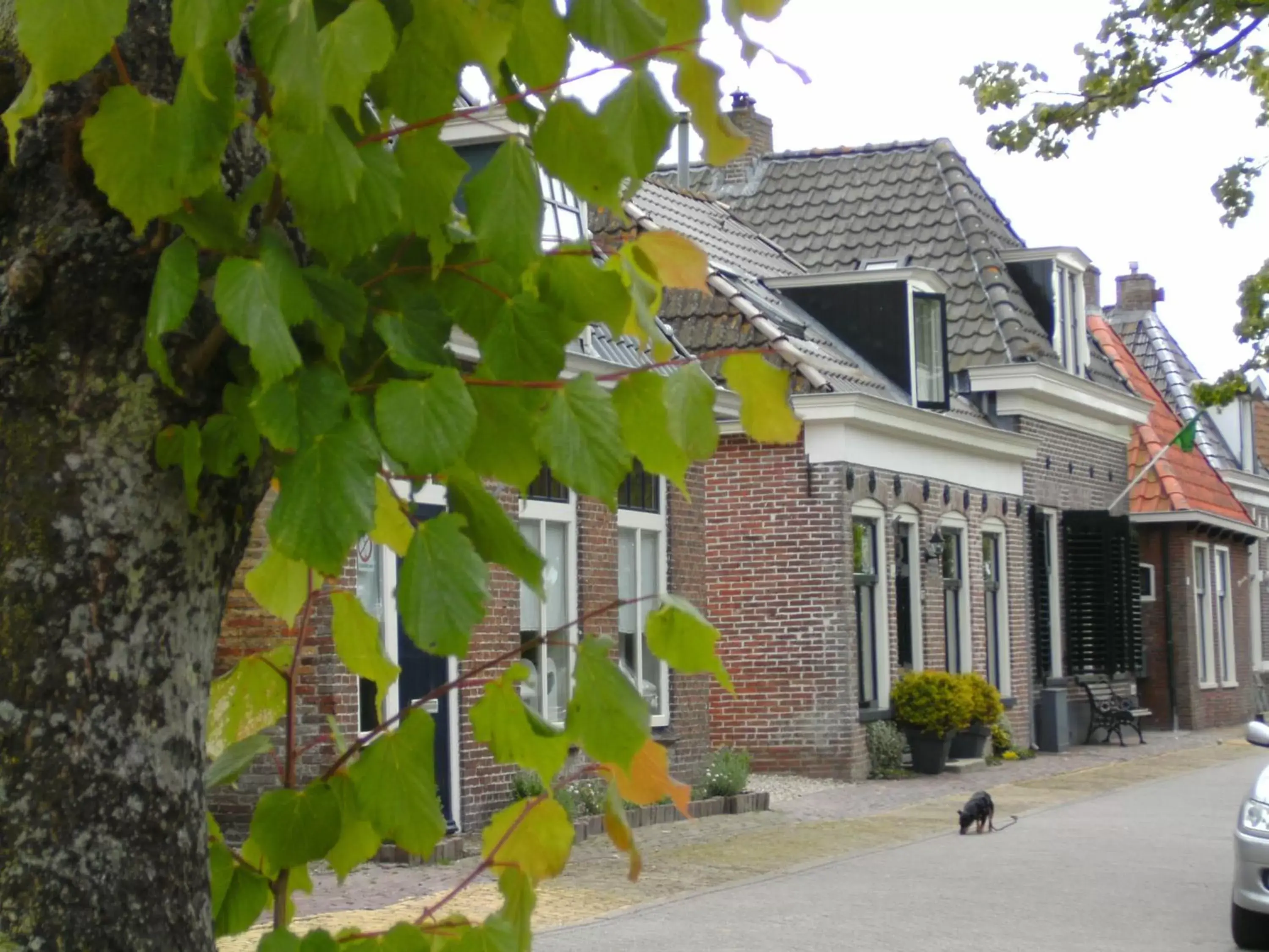 Neighbourhood, Property Building in 't Laaisterplakky