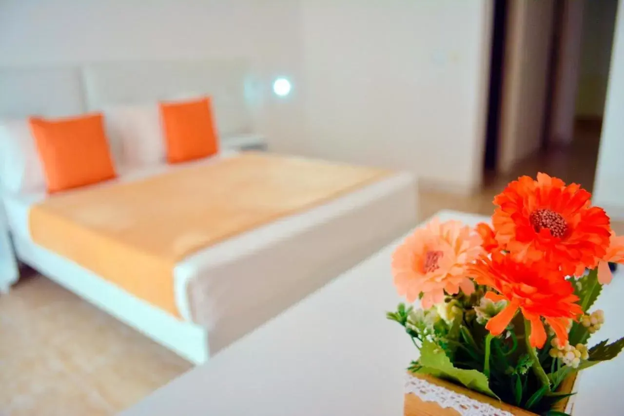 Single Room with Garden View in Aparthotel Santa Maria Beach Single Room with Garden View in Aparthotel Santa Maria Beach