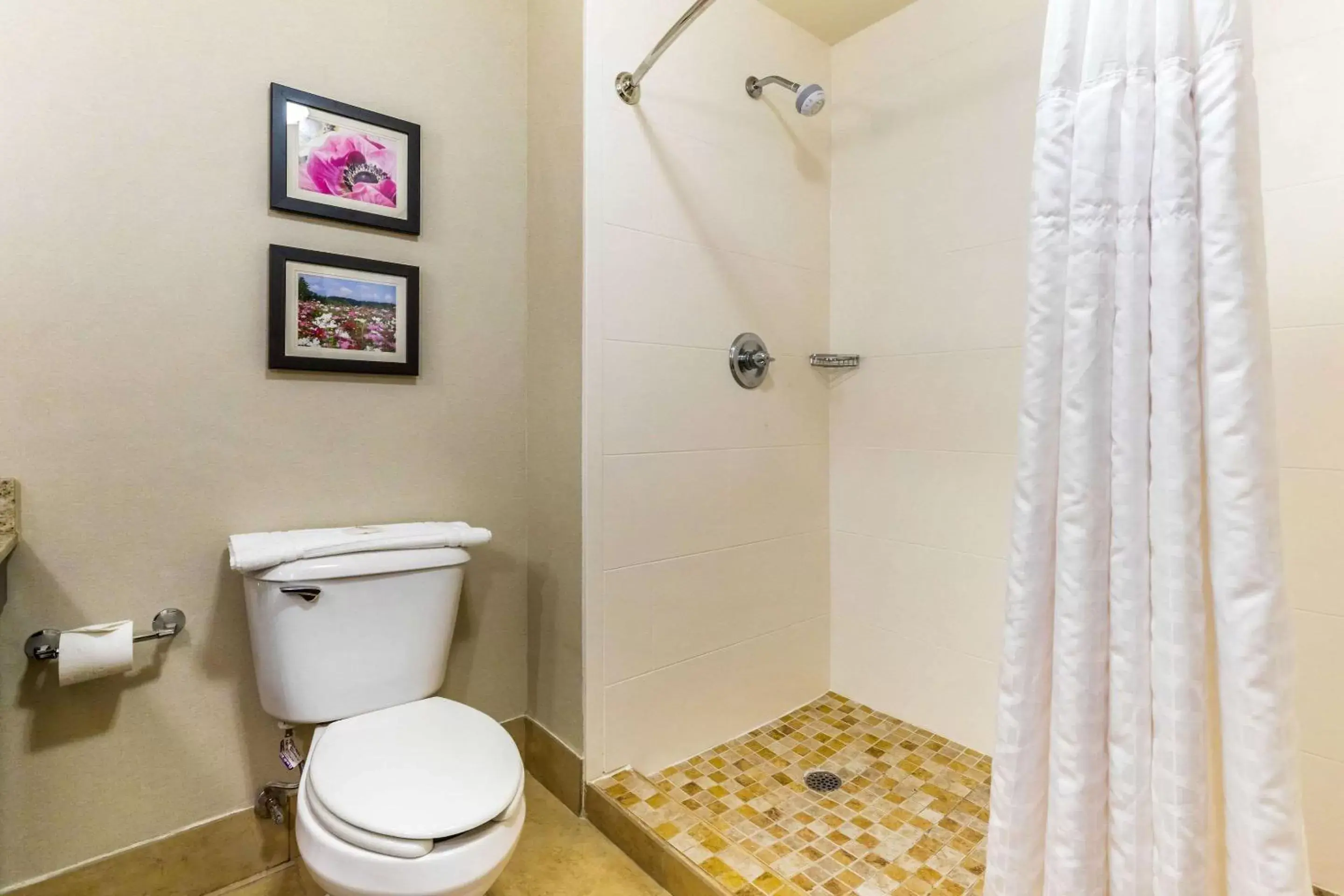 Bathroom in Comfort Suites Gastonia - Charlotte