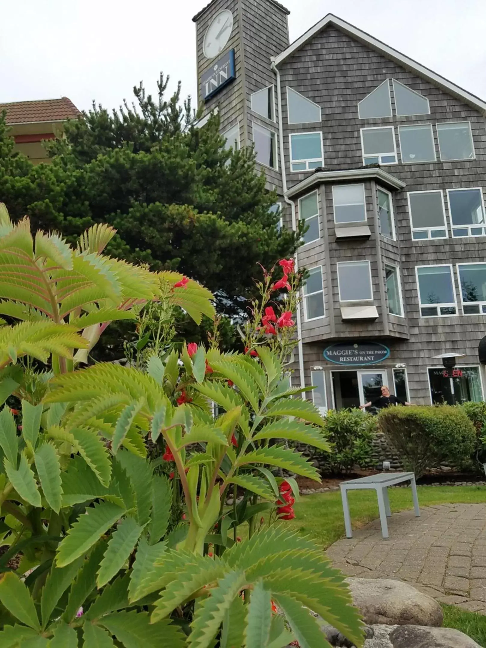 Garden, Property Building in The Seaside Oceanfront Inn