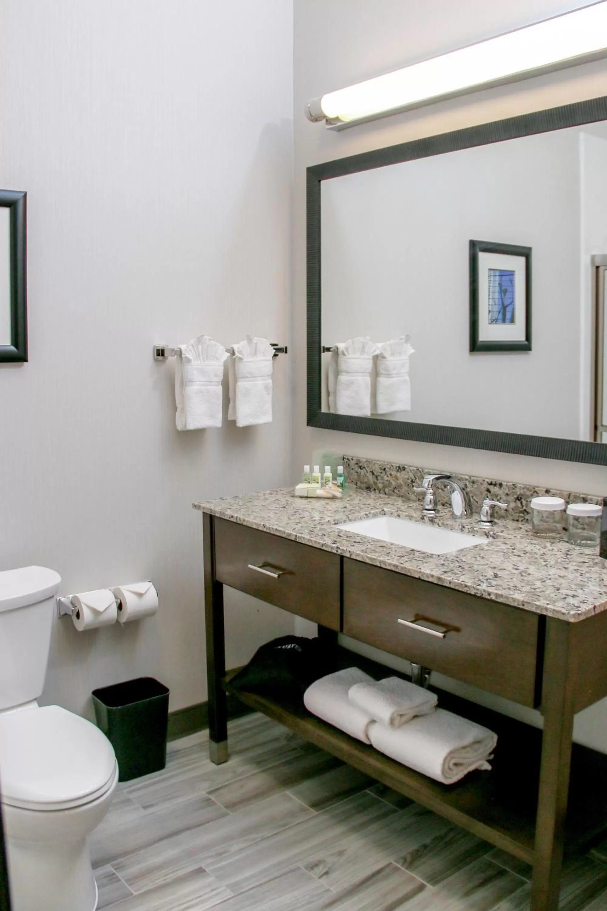 Toilet in Holiday Inn & Suites Denver Tech Center-Centennial by IHG