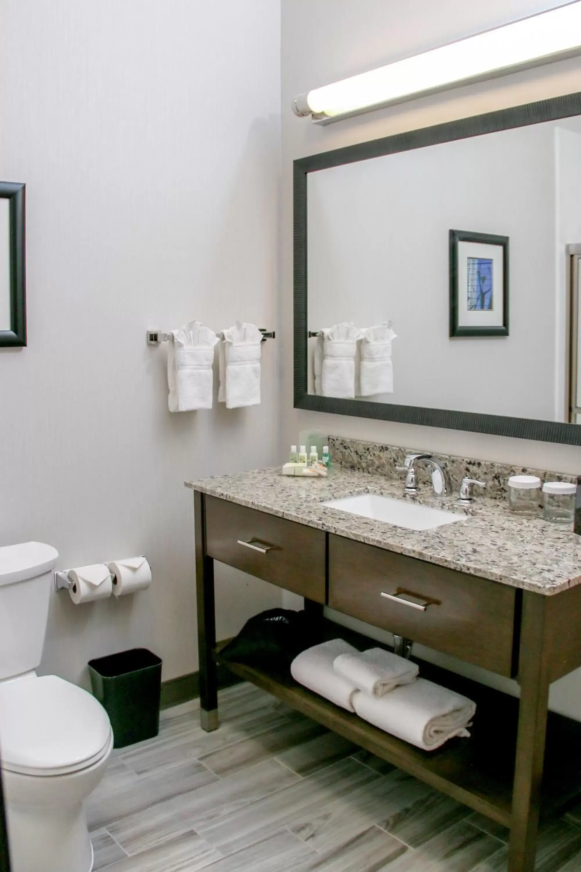 Toilet, Bathroom in Holiday Inn Hotel & Suites Denver Tech Center-Centennial, an IHG Hotel
