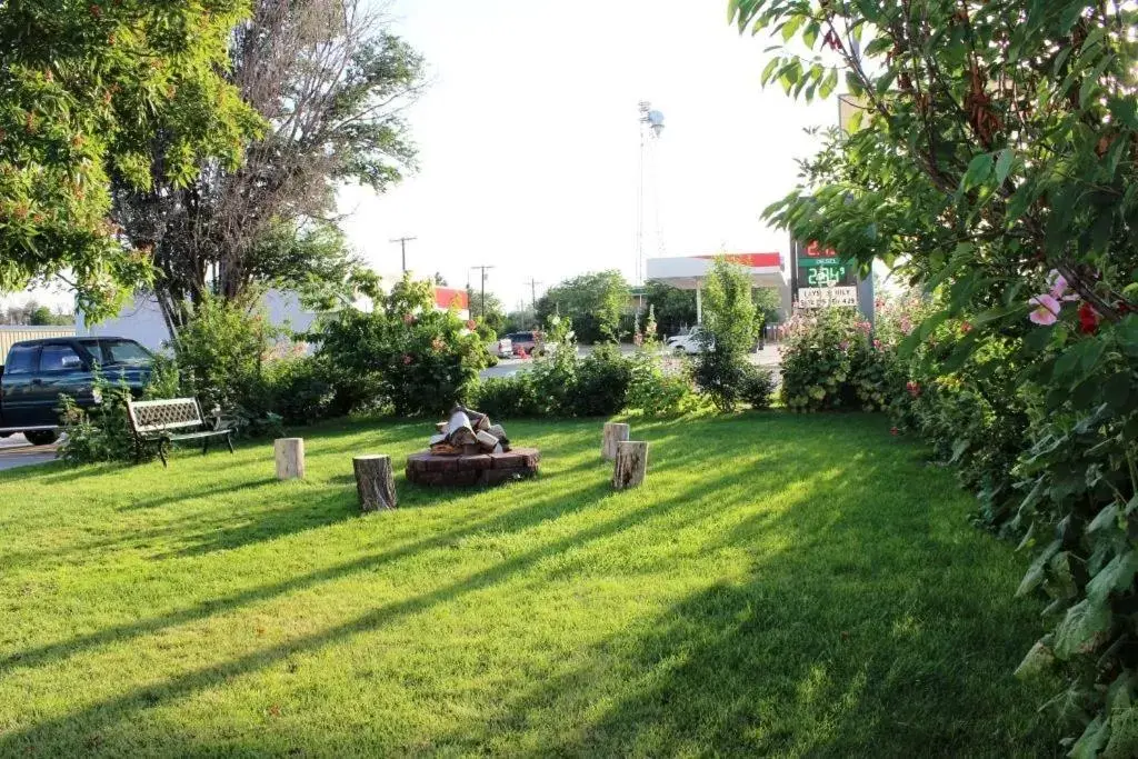 Garden in Safari Inn