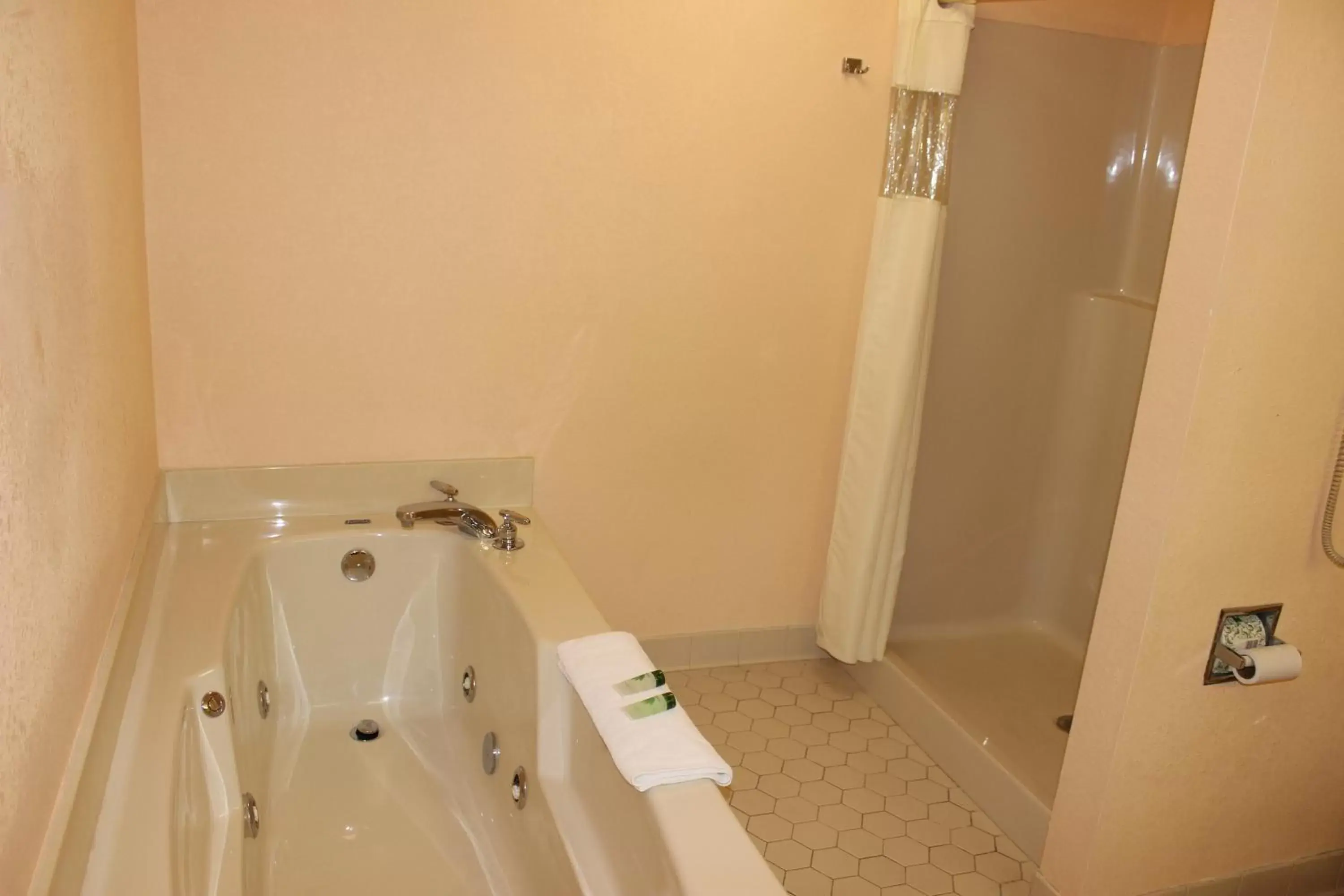 Bathroom in Quality Inn Bathroom in Quality Inn