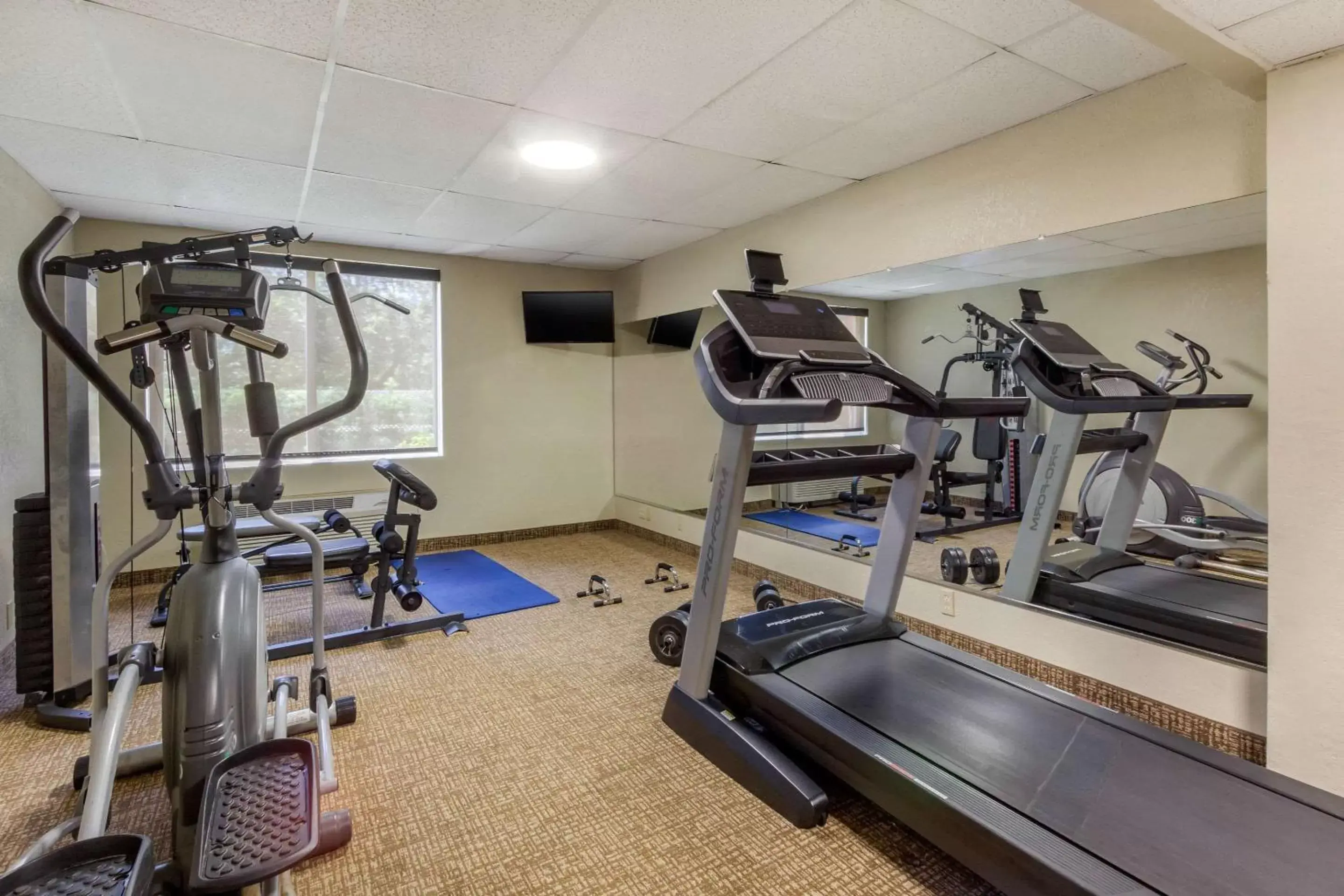 Fitness centre/facilities, Fitness Center/Facilities in Comfort Inn St Petersburg North