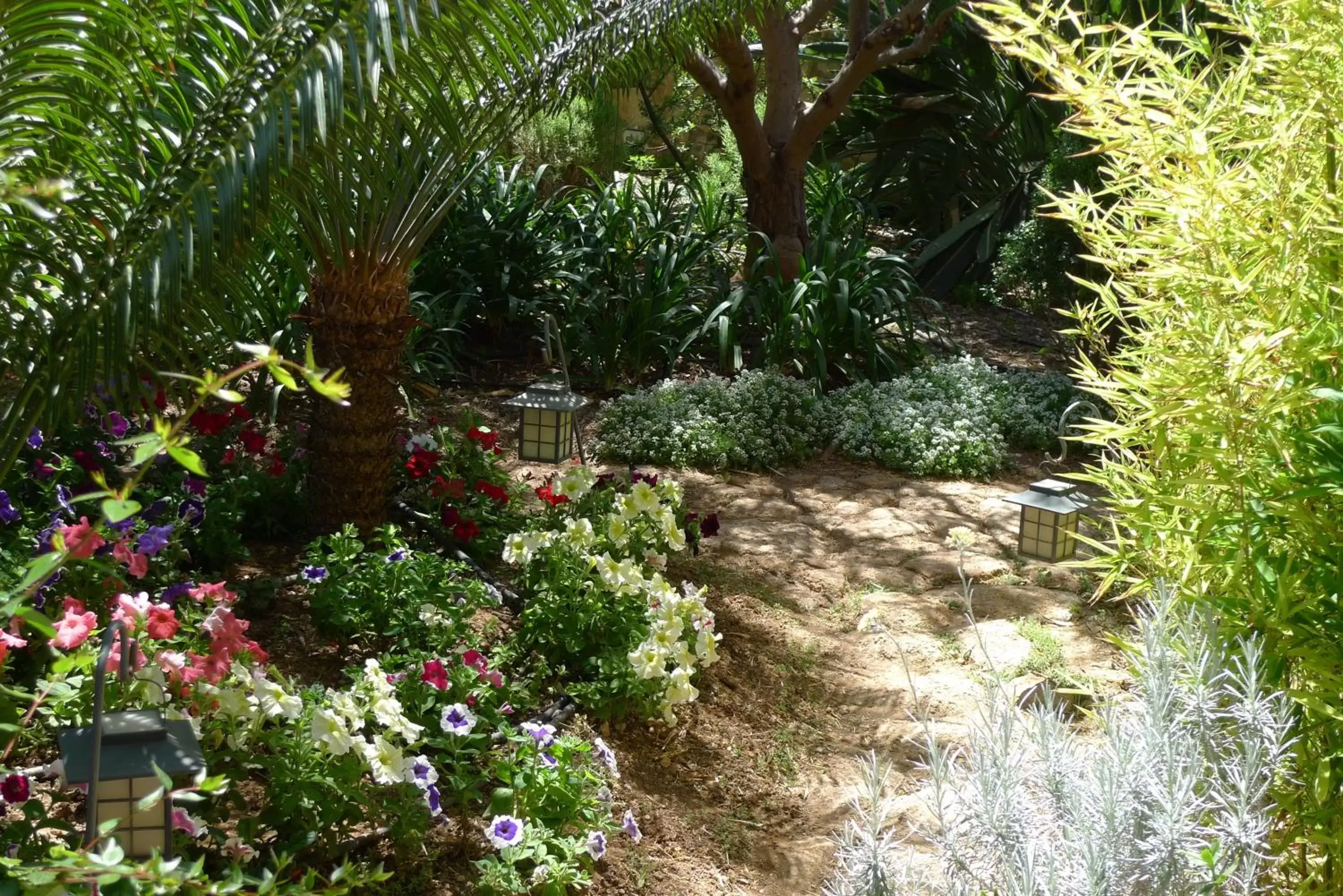 Garden in Hotel Rural San Miguel - Only Adults