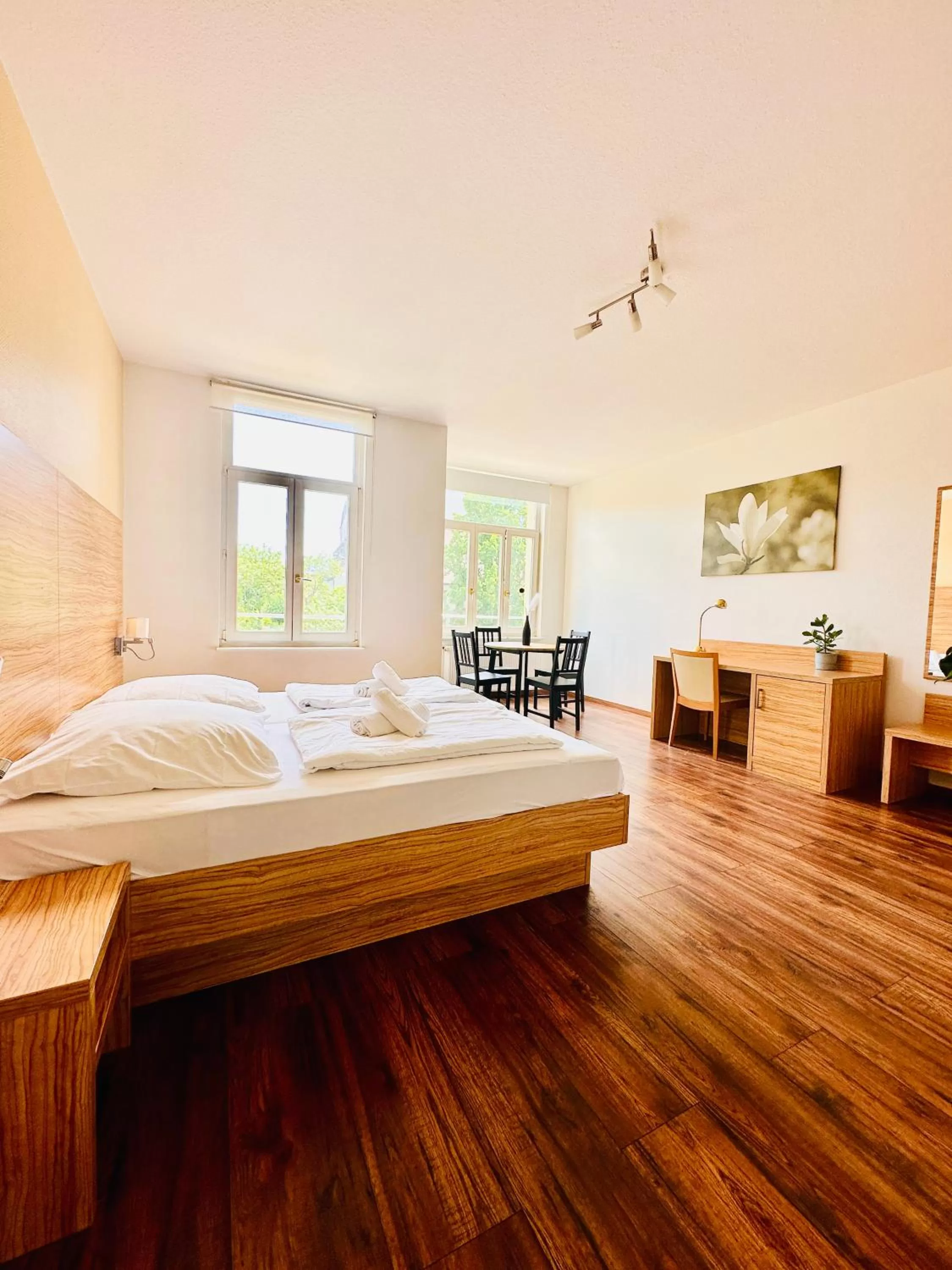 Saale, Marktplatz Zentrum, Apartmenthaus am Dom von Plant Room