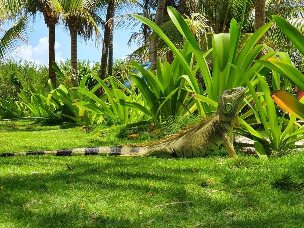 Jackuri Casa Hospedaje