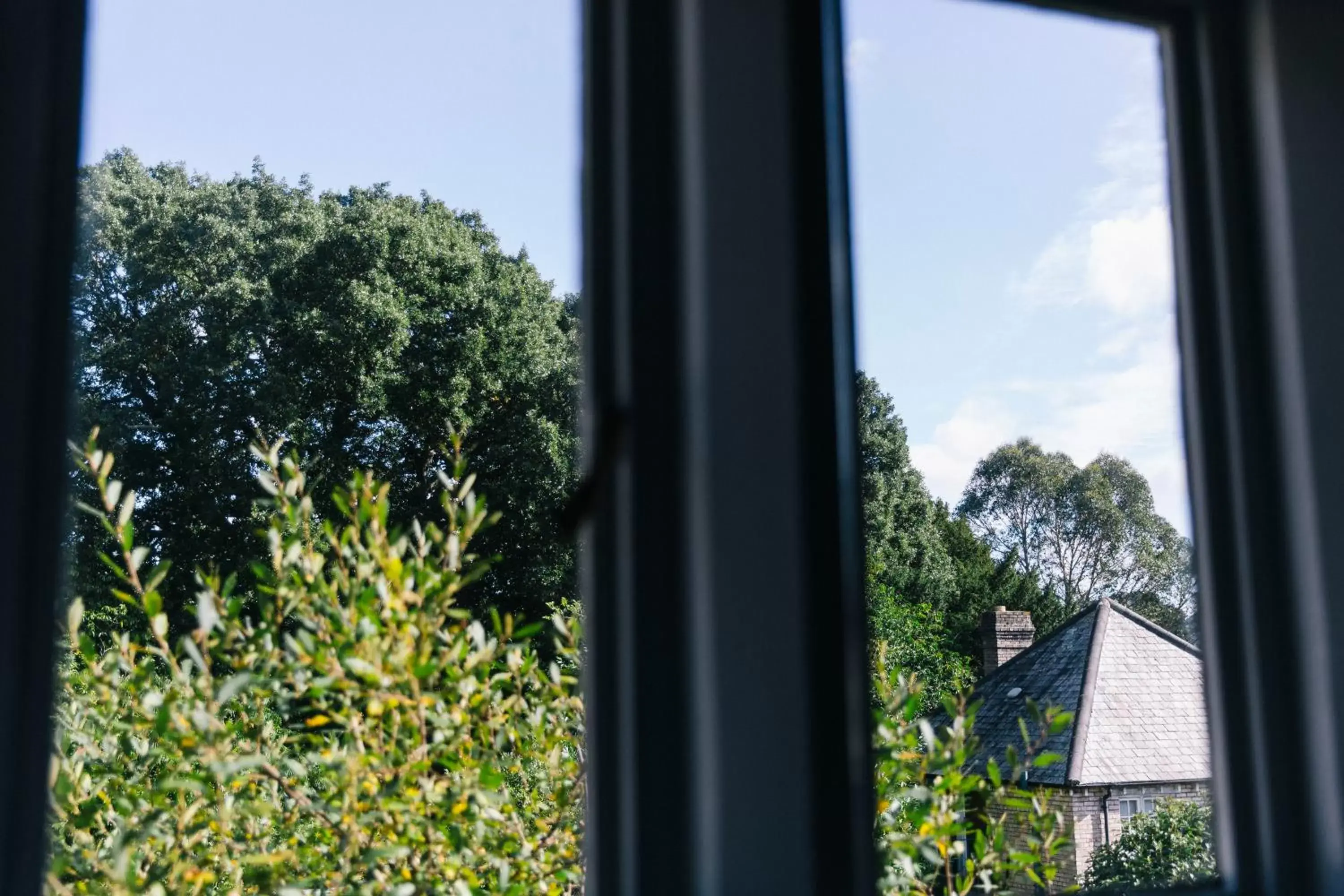 Garden view, Mountain View in The Alverton