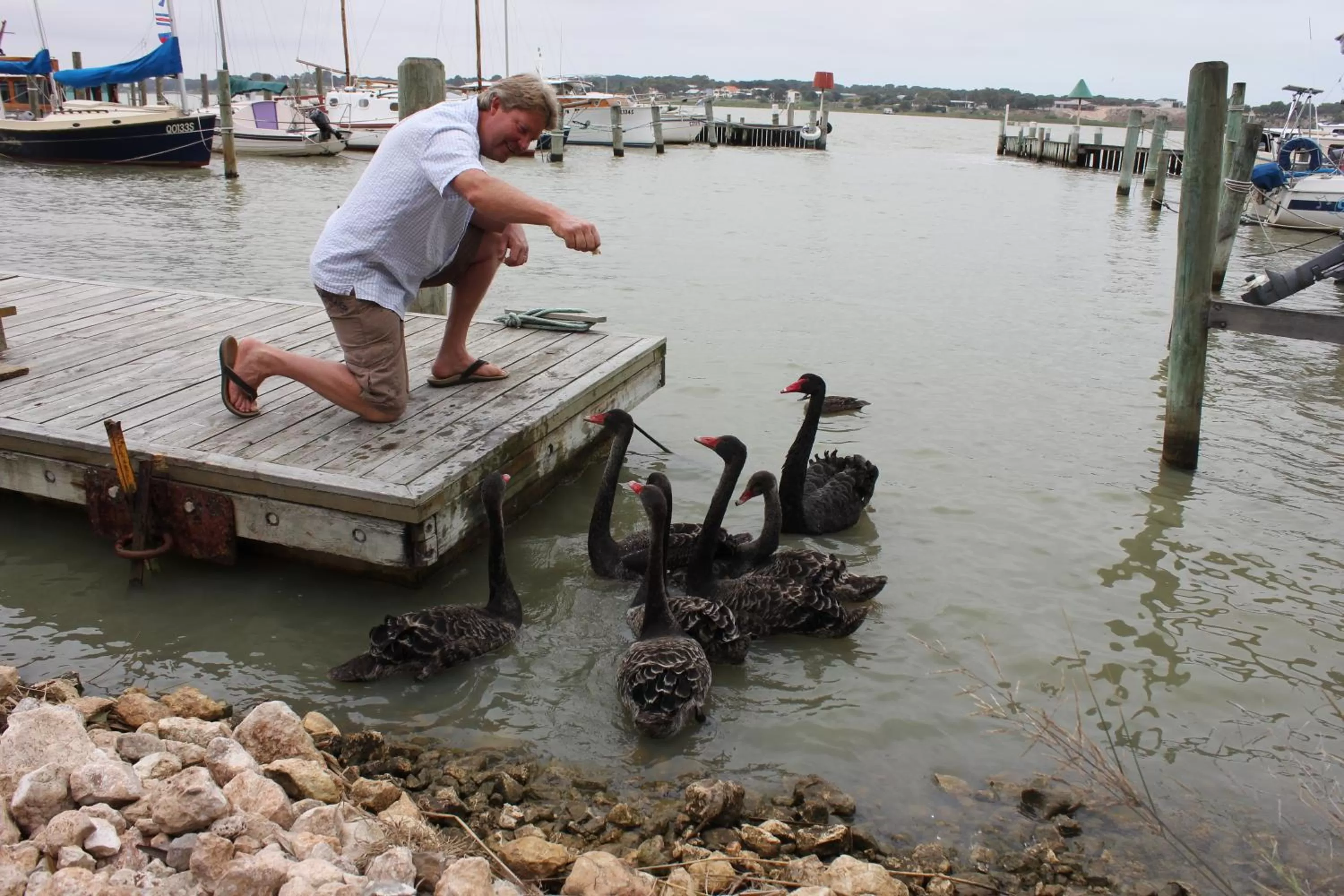 Area and facilities in Boathouse - Birks River Retreat