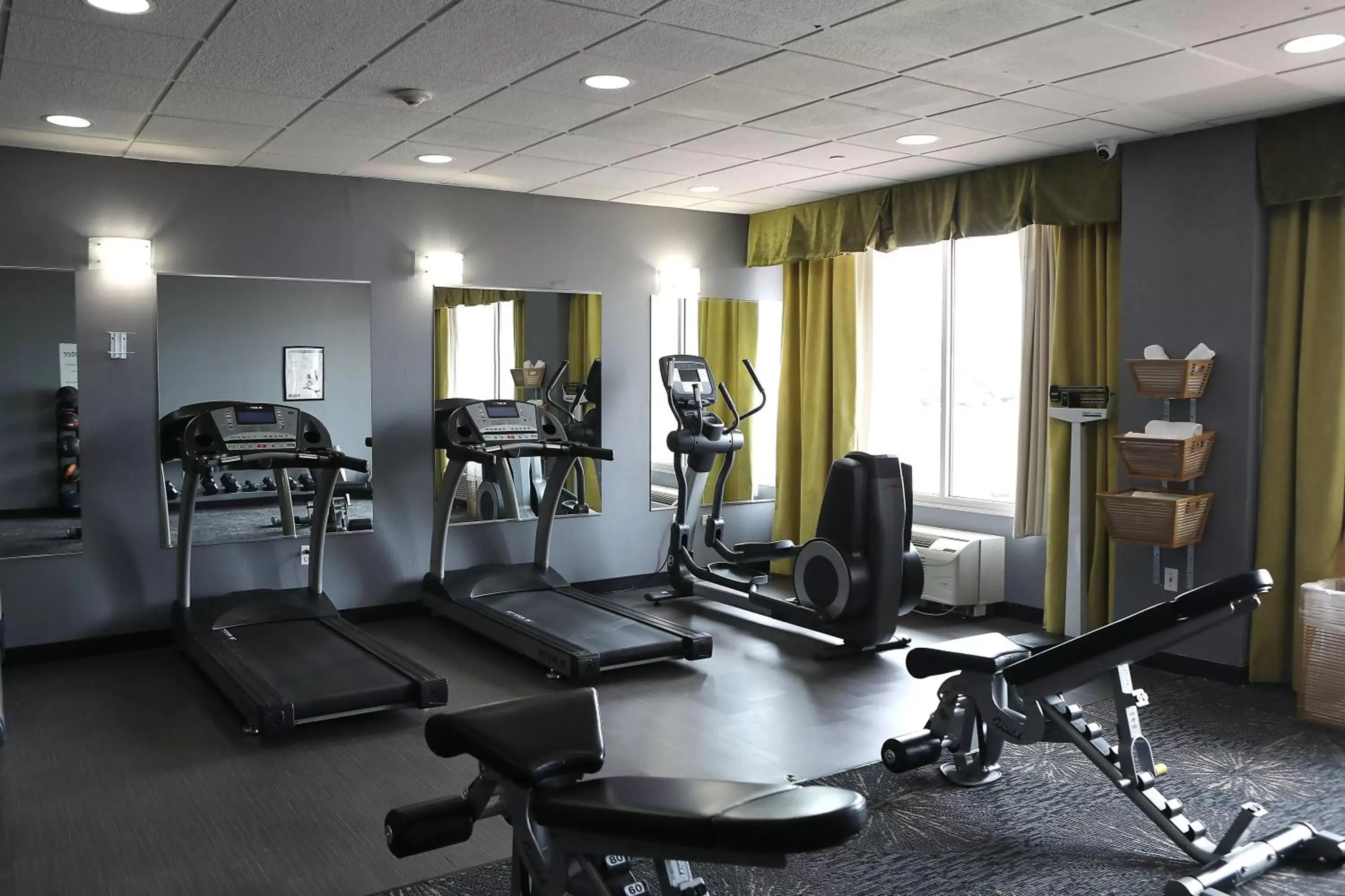 Spa and wellness centre/facilities, Fitness Center/Facilities in Holiday Inn Chicago/Oak Brook, an IHG Hotel