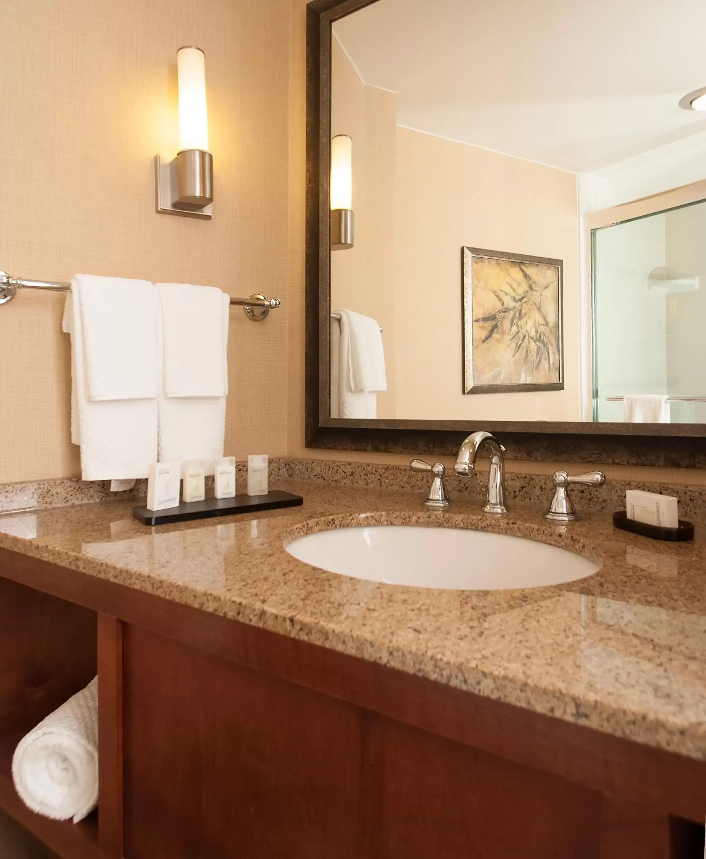 Bathroom in Embassy Suites by Hilton Bloomington/Minneapolis