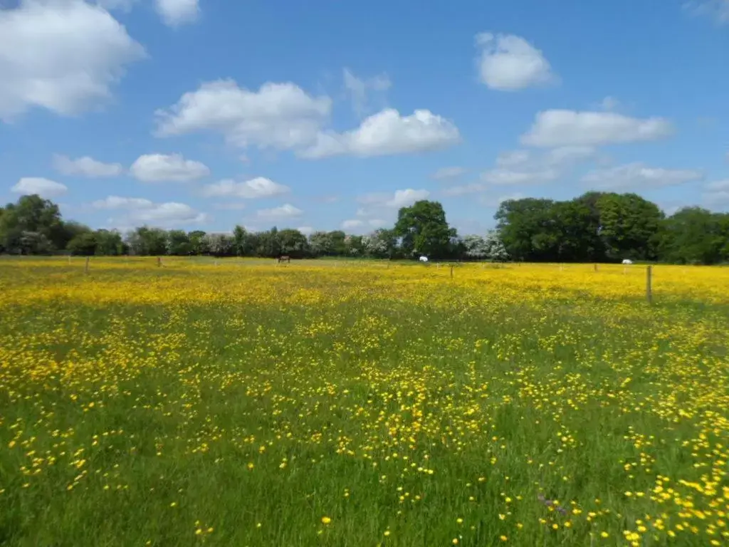 Natural landscape in The Stables - Deer Park Farm