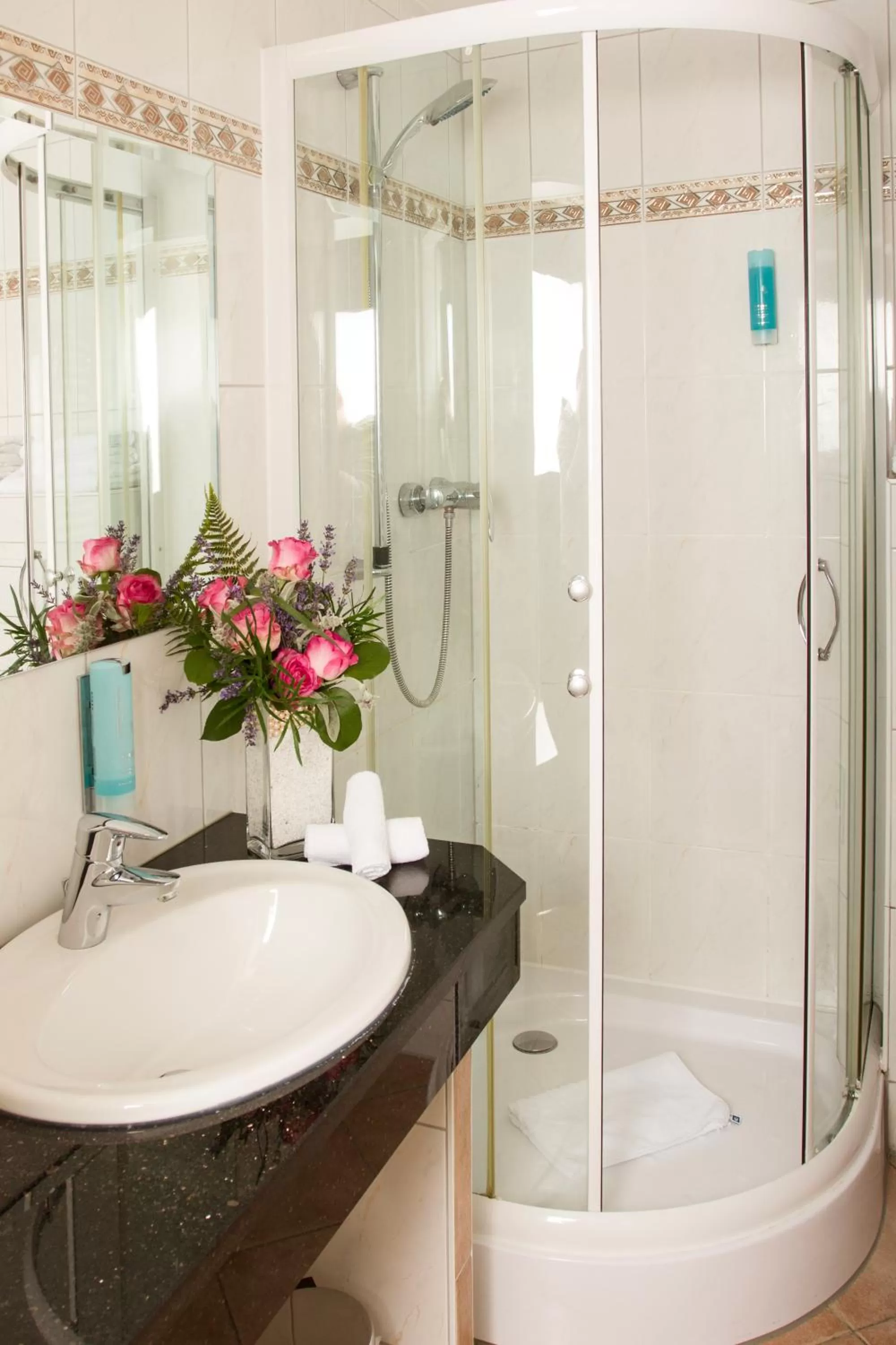 Bathroom in Hotel Don Giovanni