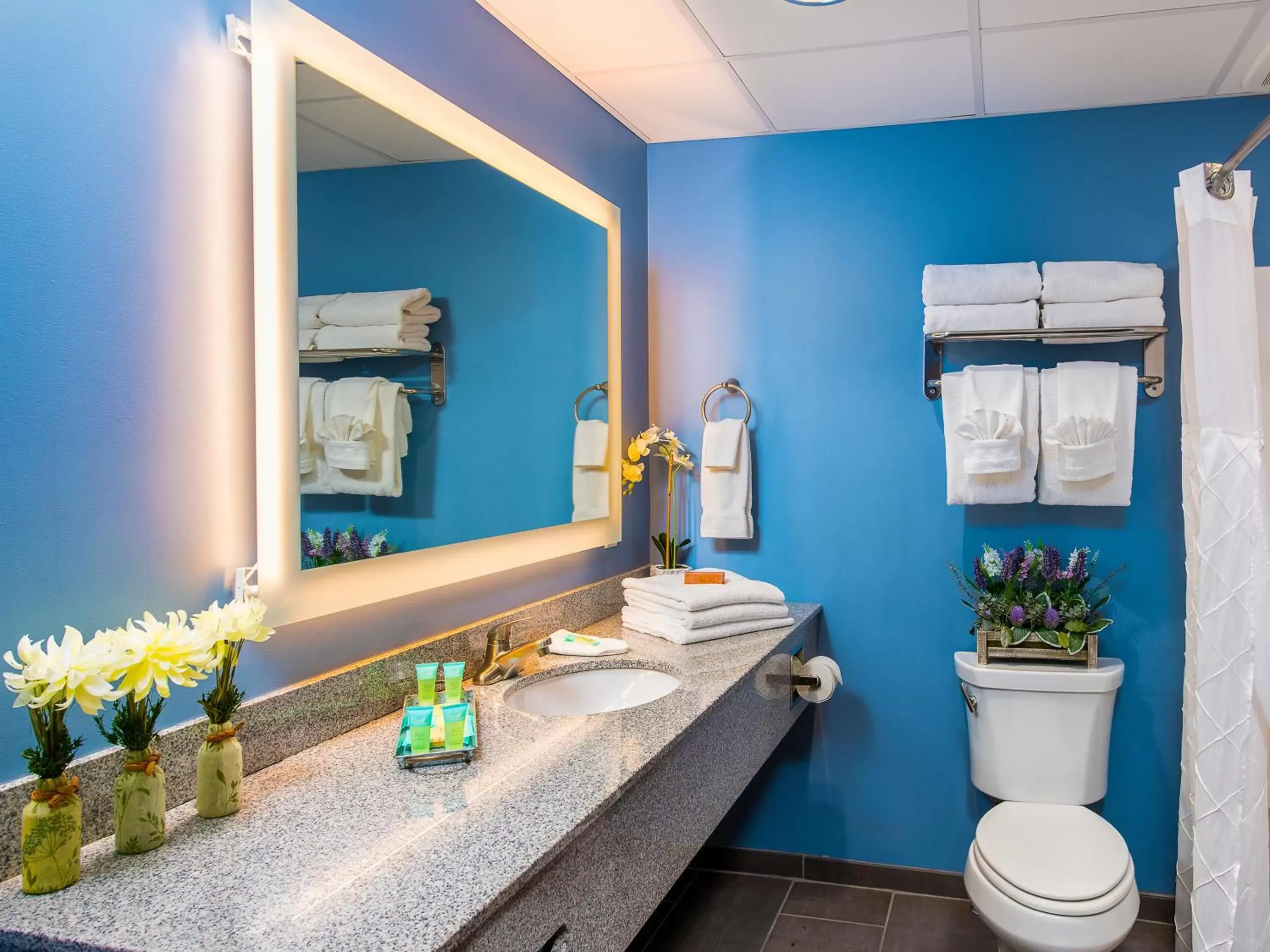 Toilet, Bathroom in Country Cascades Waterpark Resort