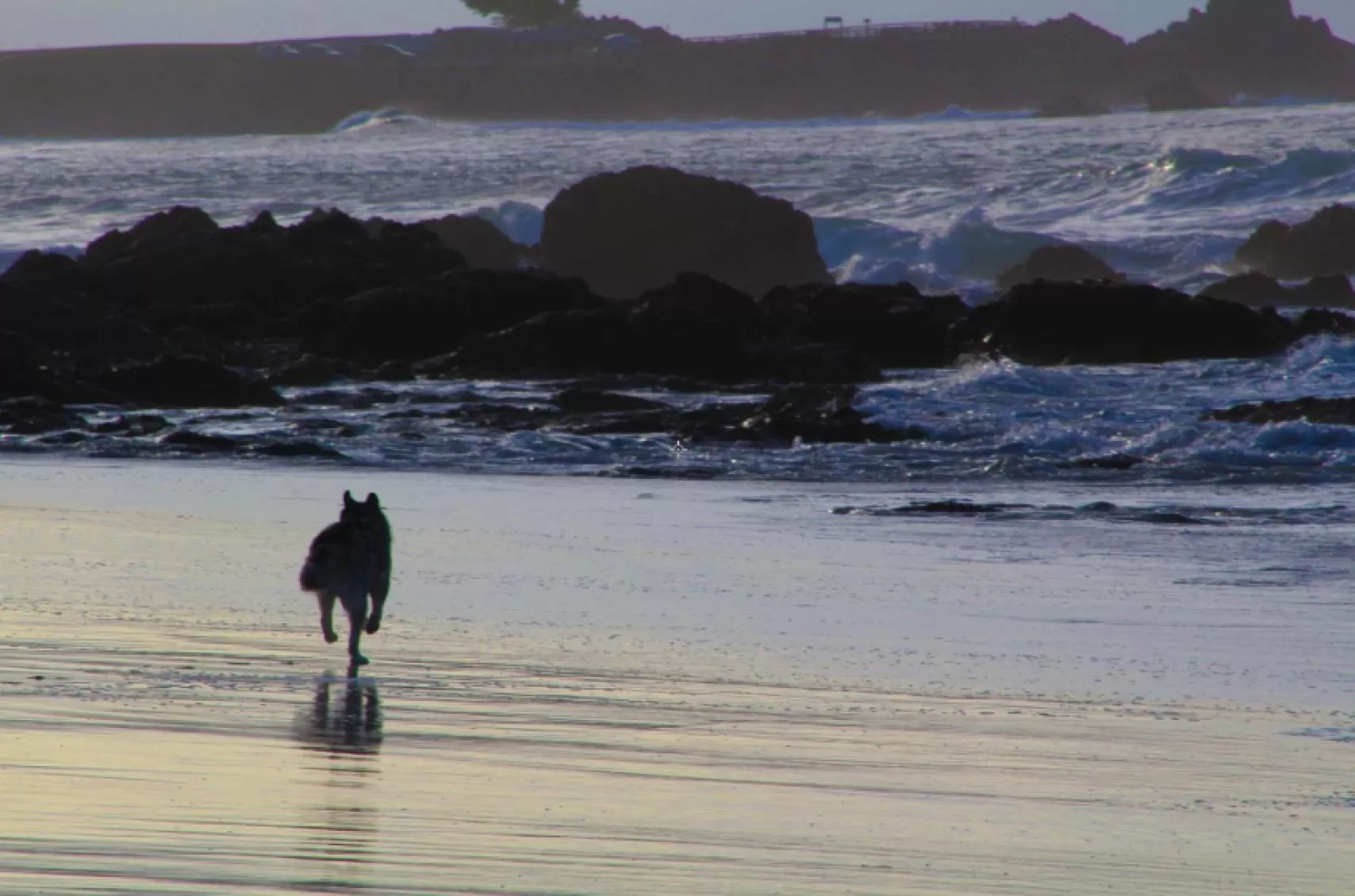 Beach in Pacific Gardens Inn