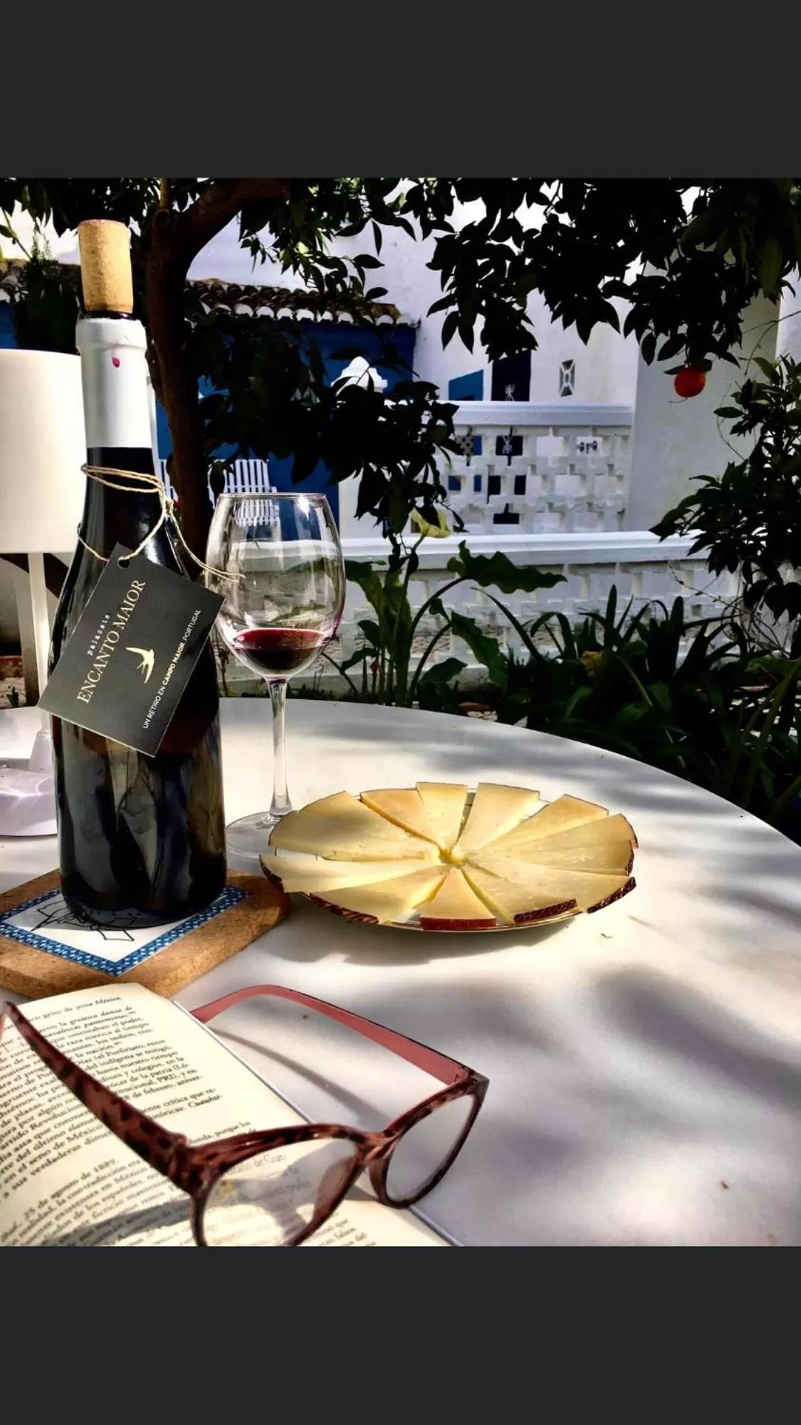 Garden in Palacete Encanto Maior