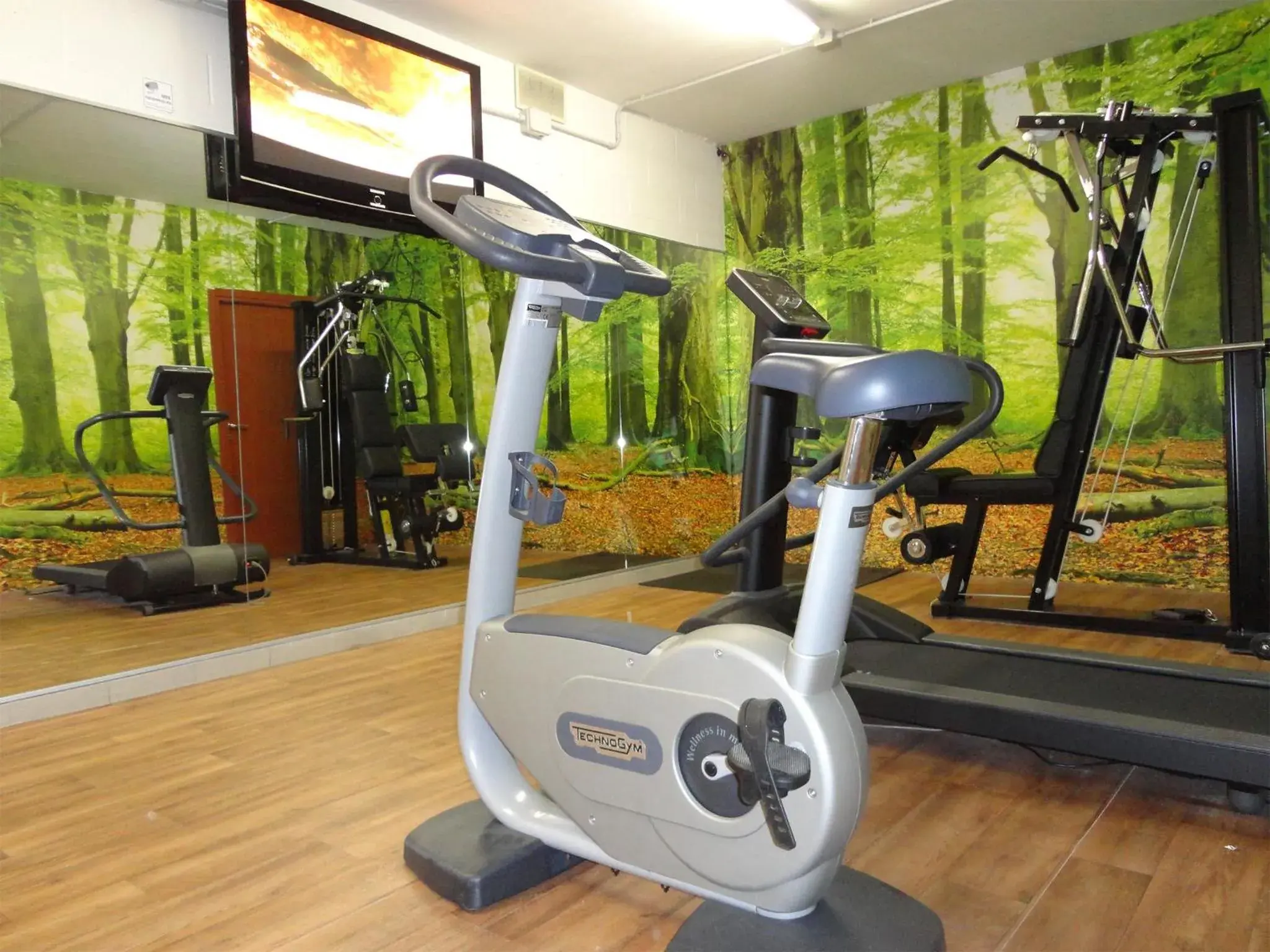 Fitness centre/facilities, Fitness Center/Facilities in Hotel Michelino Bologna Fiera