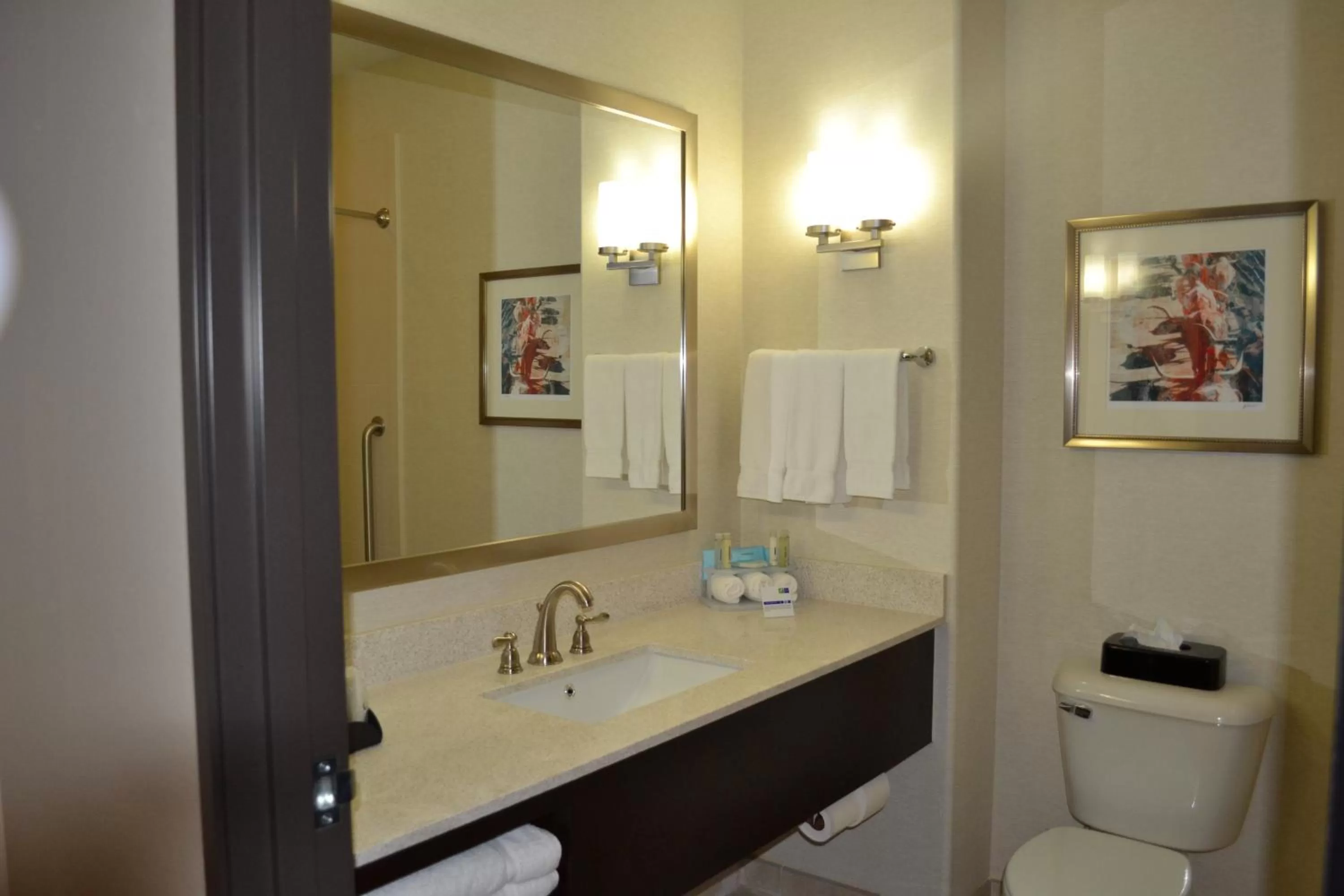 Bathroom in Holiday Inn Express Hotel and Suites Duncan by IHG