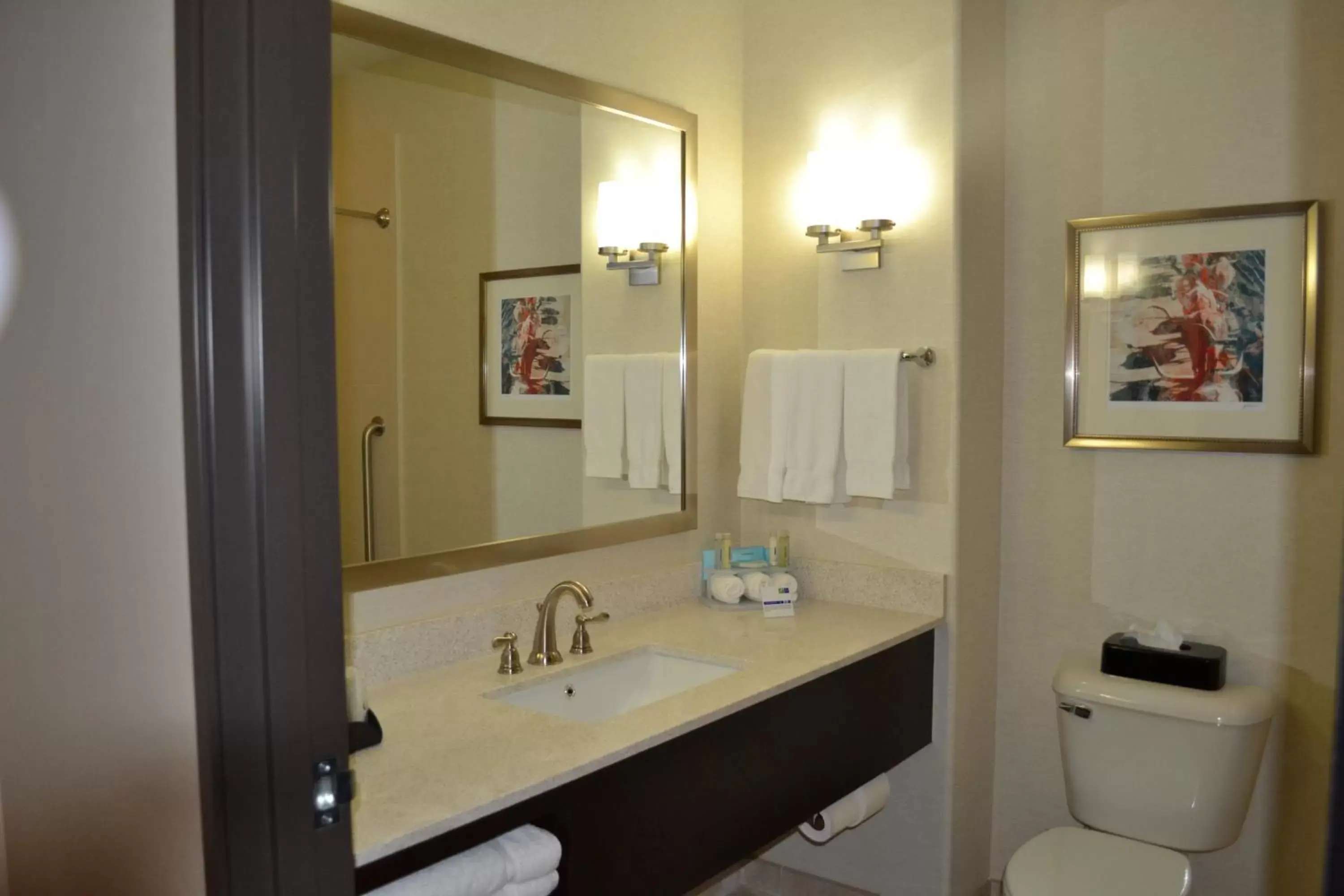 Bathroom in Holiday Inn Express Hotel and Suites Duncan, an IHG Hotel