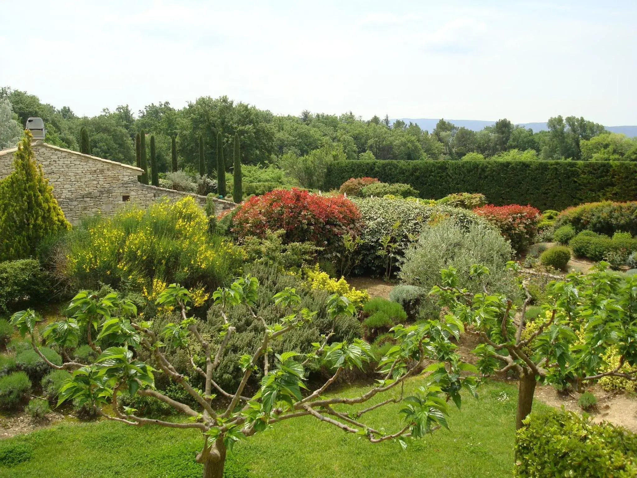 Garden in Mas De La Senancole