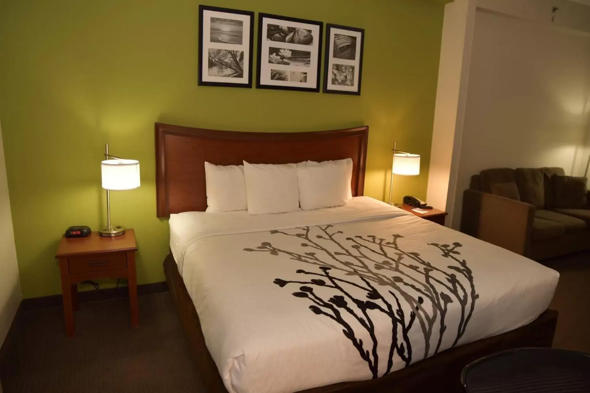 Bed in Sleep Inn & Suites Laurel