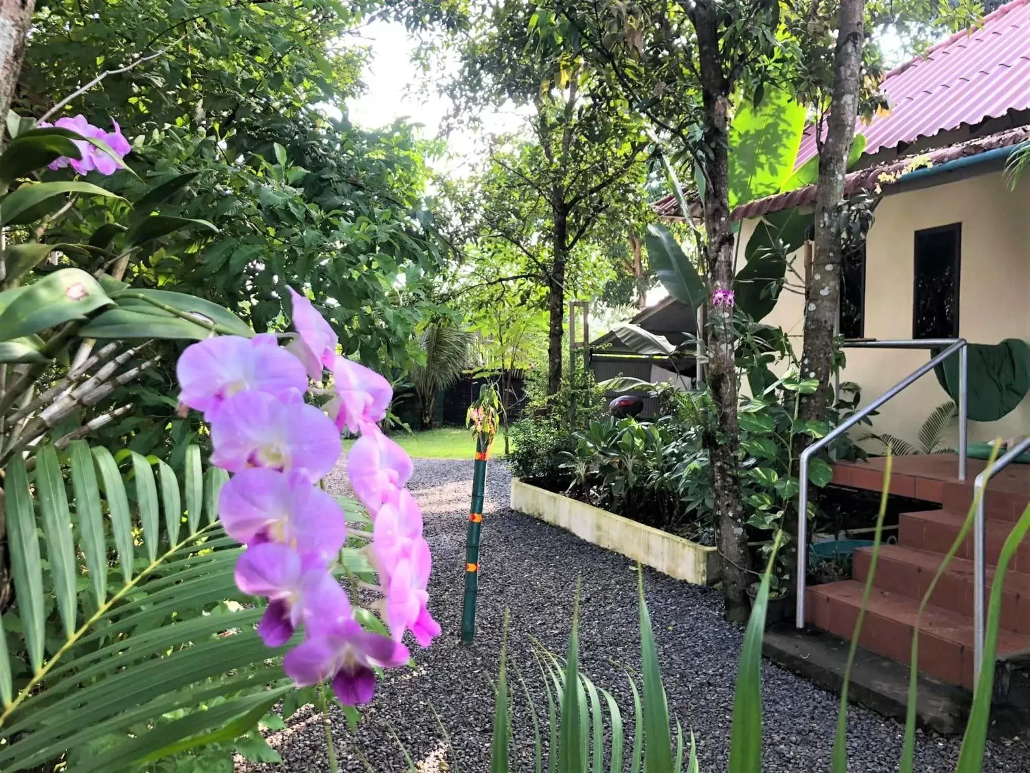 Property building in Green Mango Bungalows Property building in Green Mango Bungalows