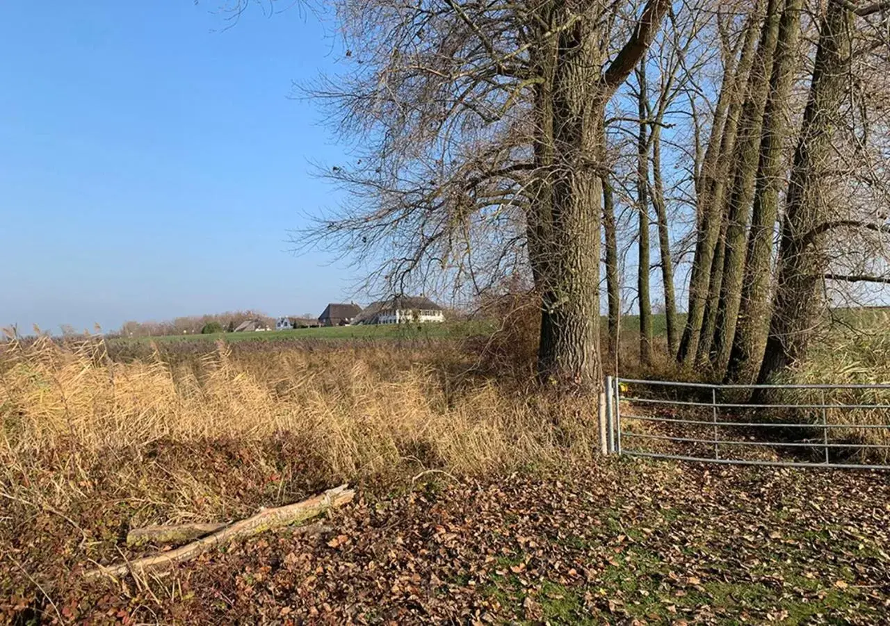 Natural Landscape in MOoij Bed en Breakfast