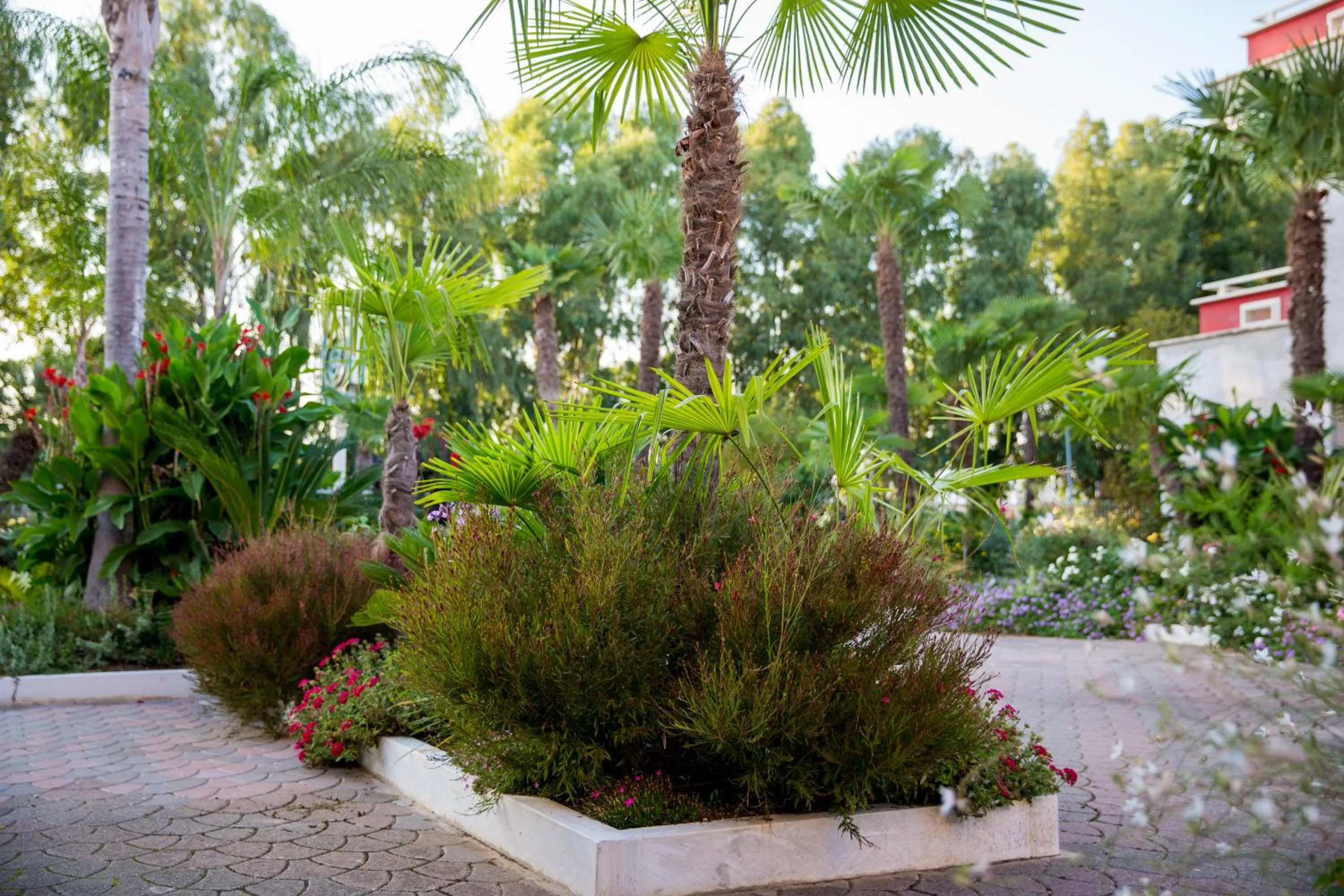 Garden in Hotel Ares