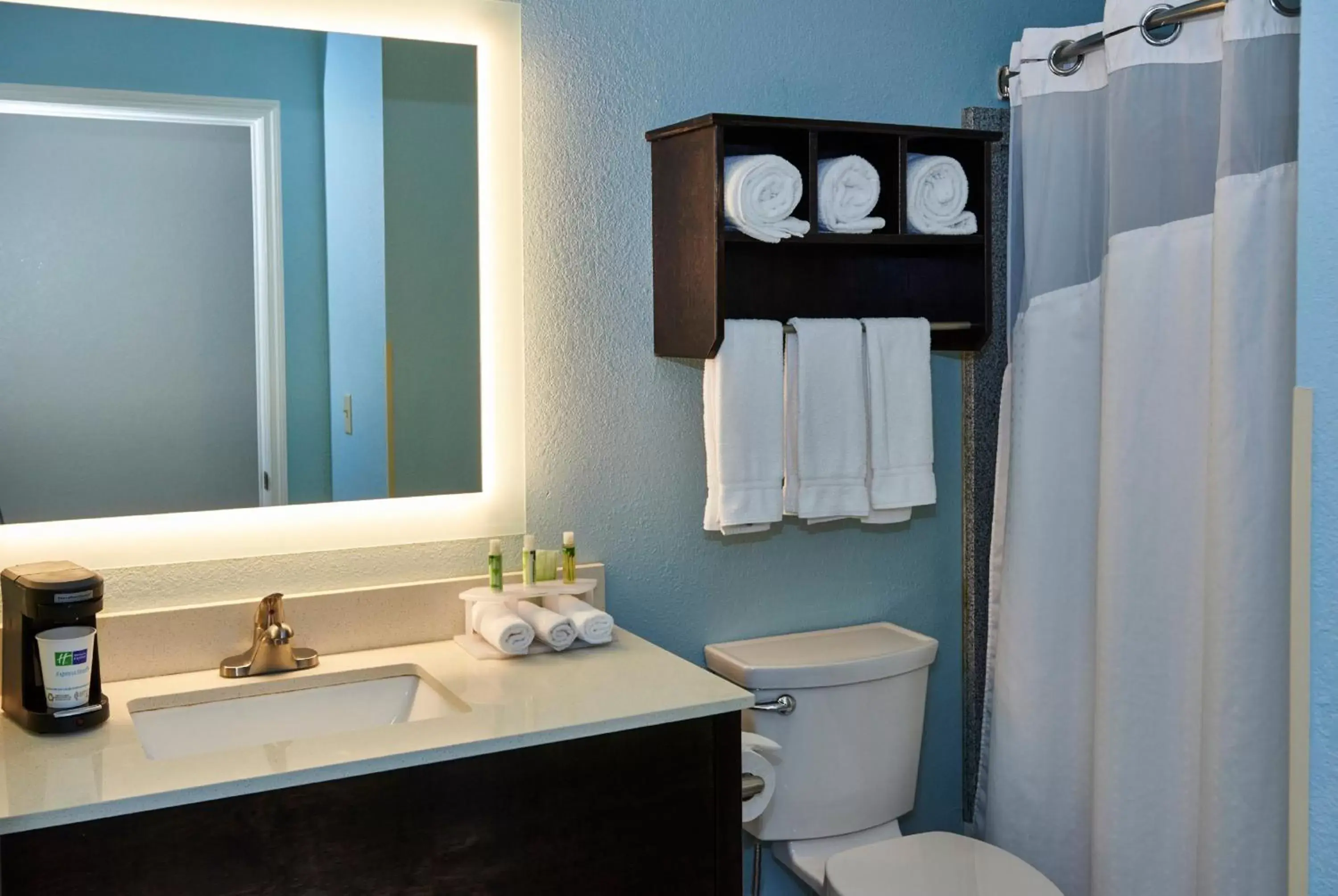 Photo of the whole room, Bathroom in Holiday Inn Express & Suites Birmingham South - Pelham, an IHG Hotel