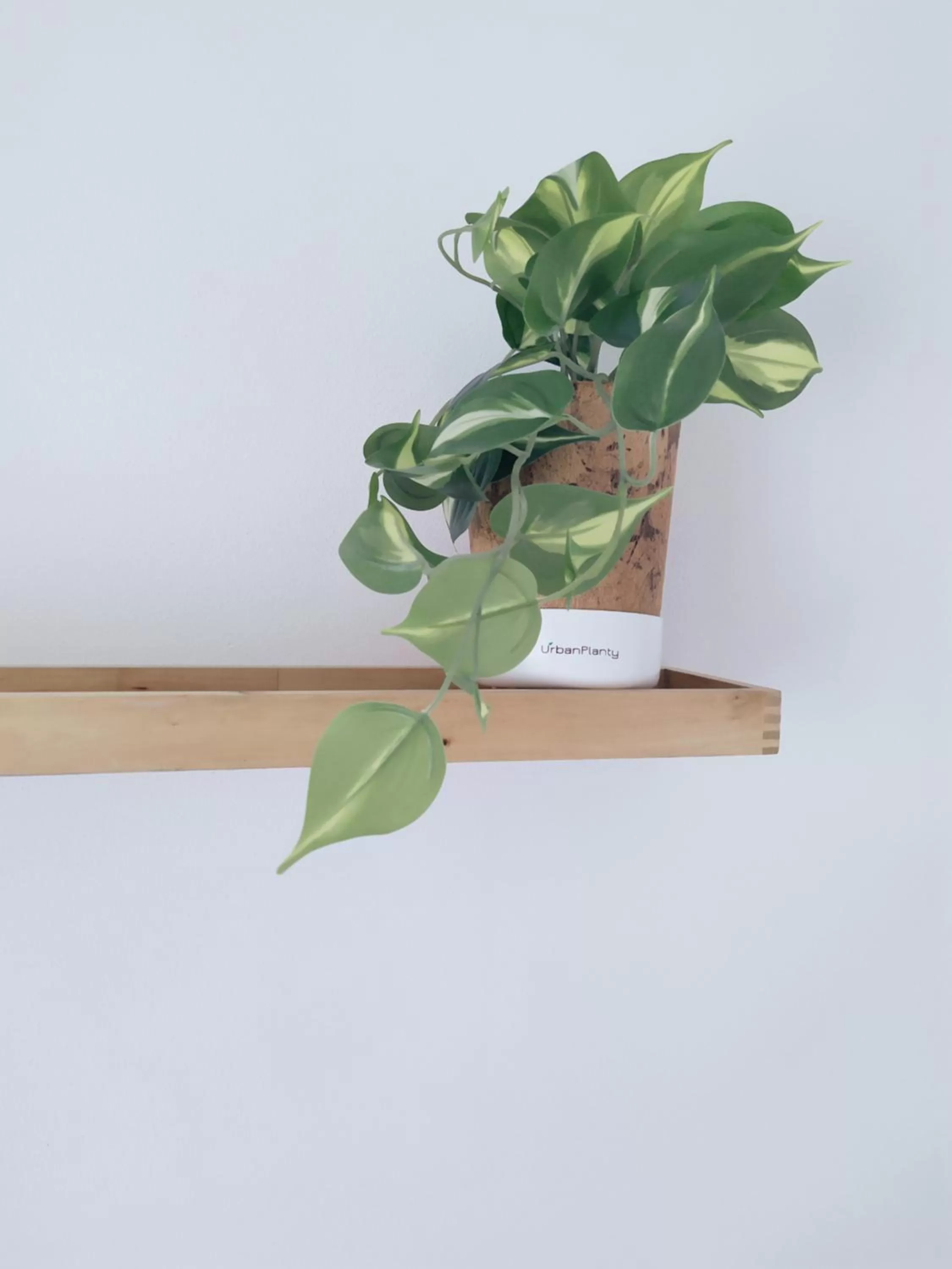 Decorative detail in B&B Peonia