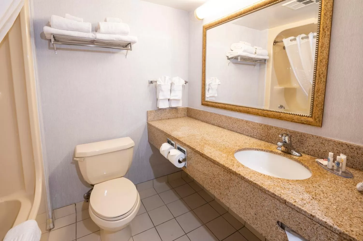 Toilet in Comfort Hotel & Suites