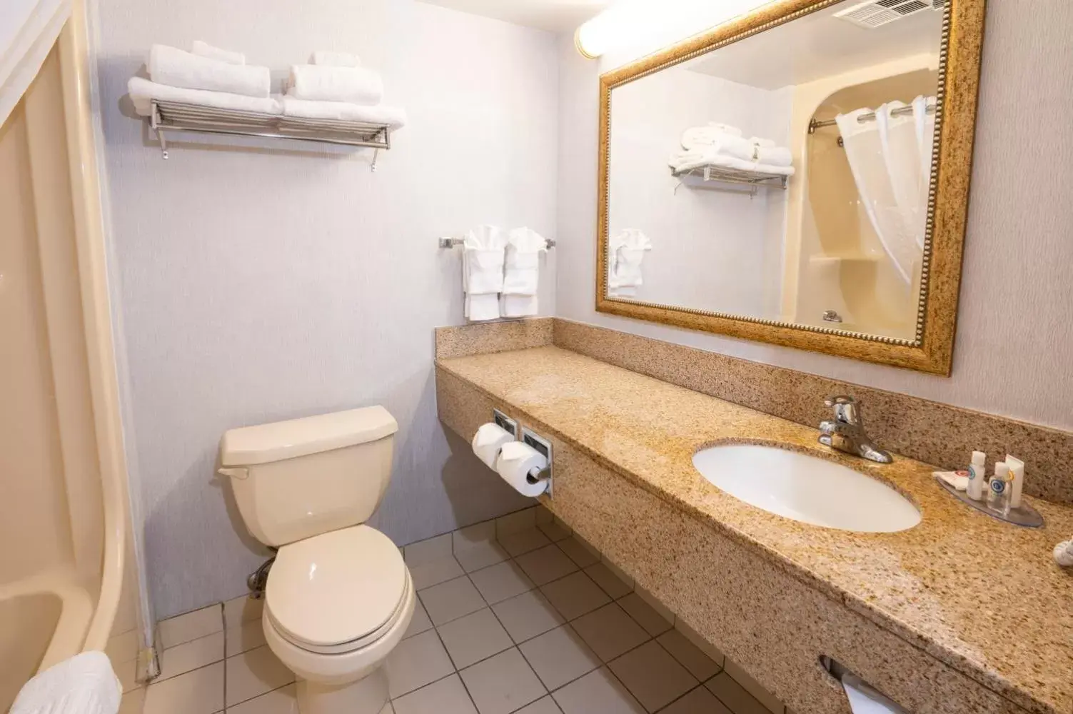 Toilet, Bathroom in Comfort Hotel & Suites Peterborough