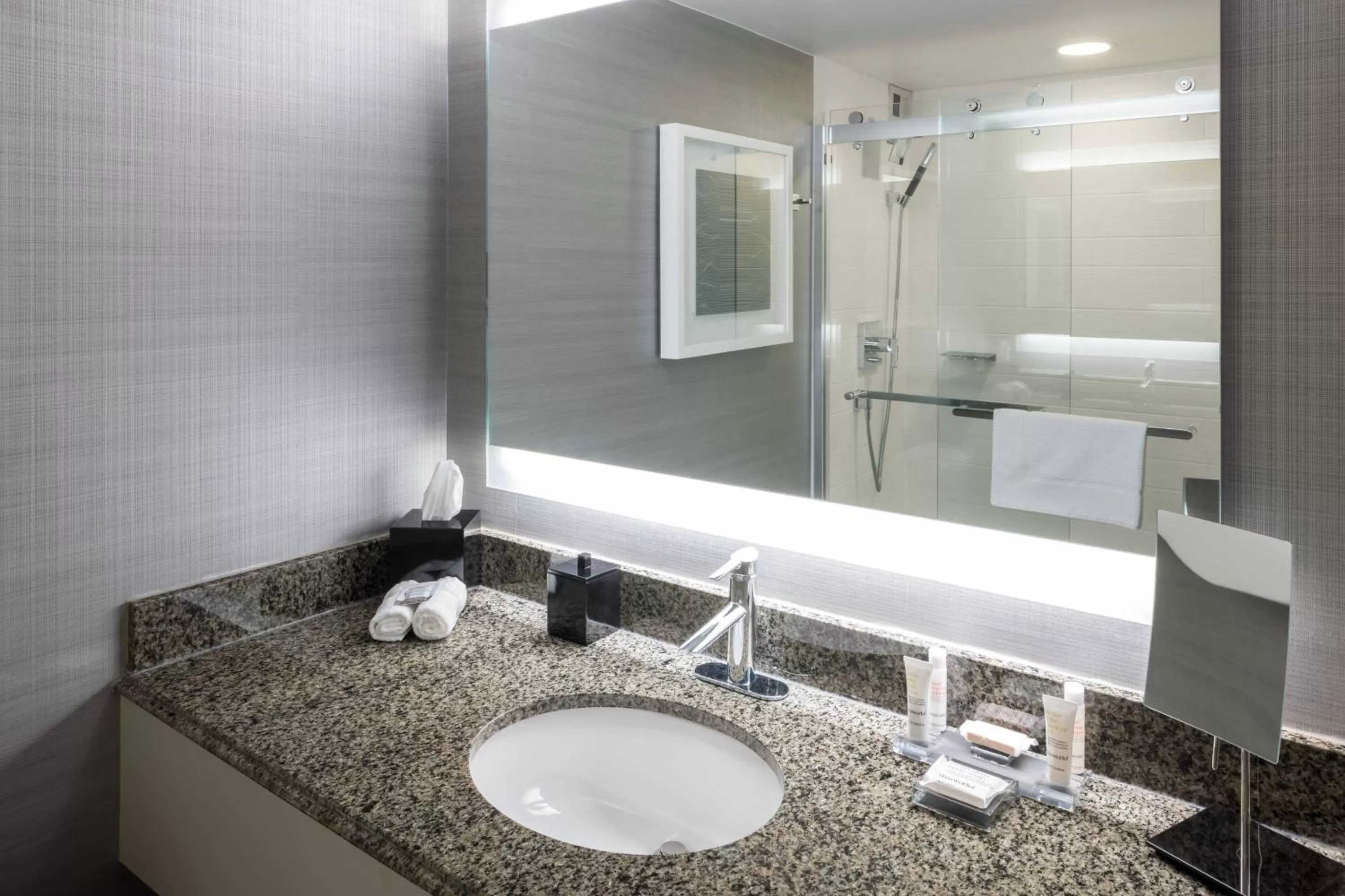 Bathroom in Richmond Marriott