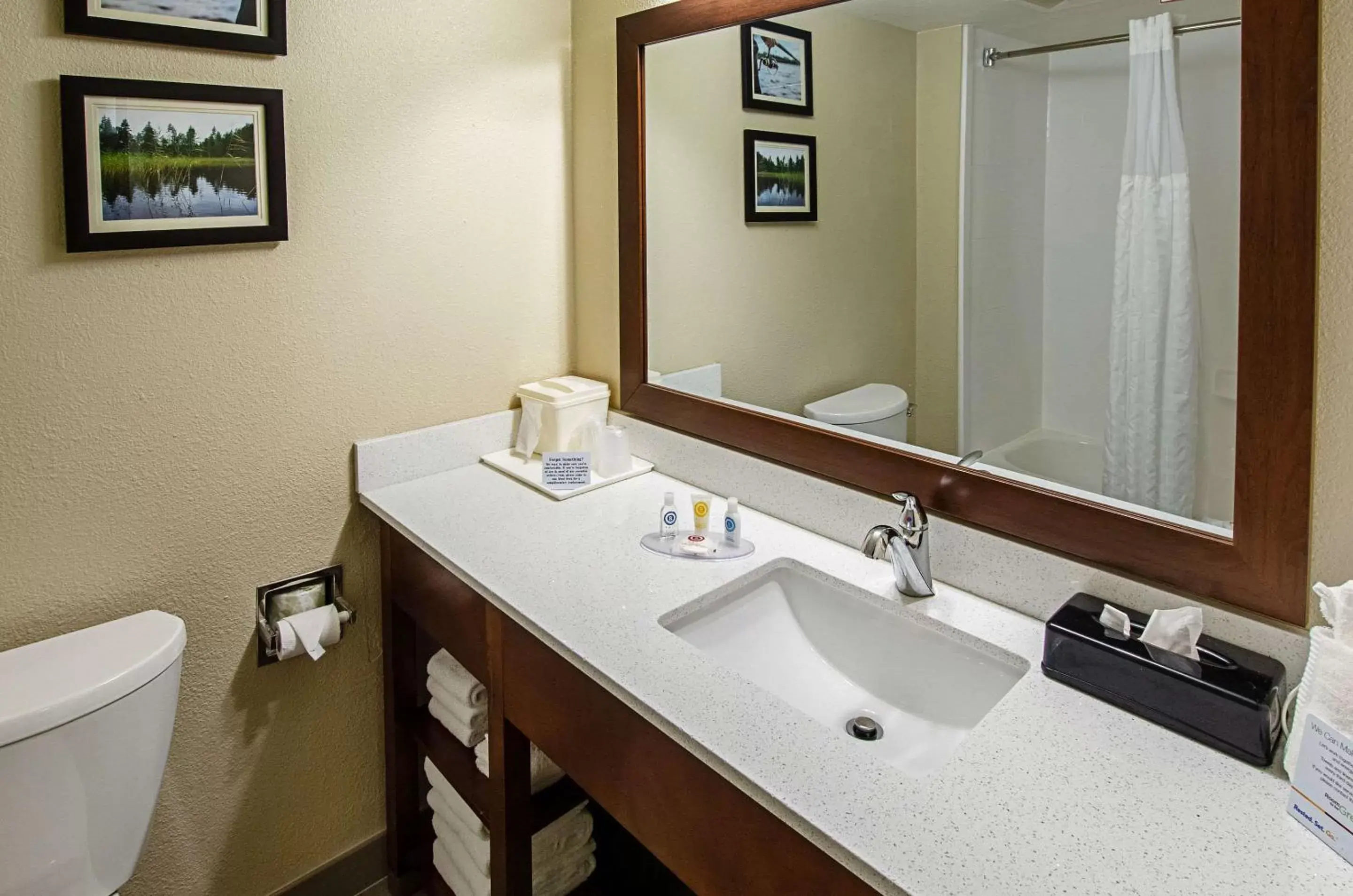 Photo of the whole room, Bathroom in Comfort Inn & Suites Santee