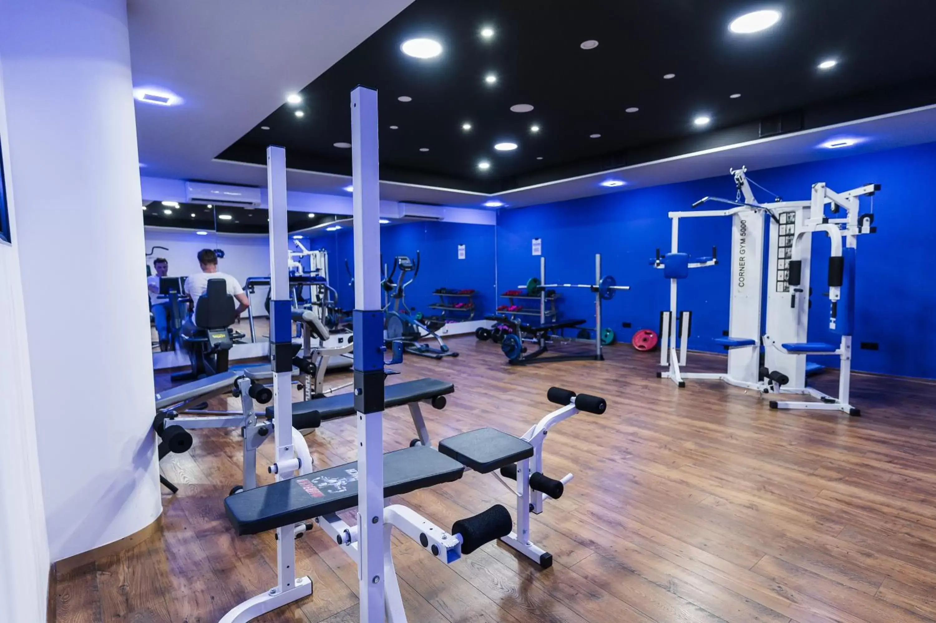 Fitness centre/facilities, Fitness Center/Facilities in Hotel Holiday