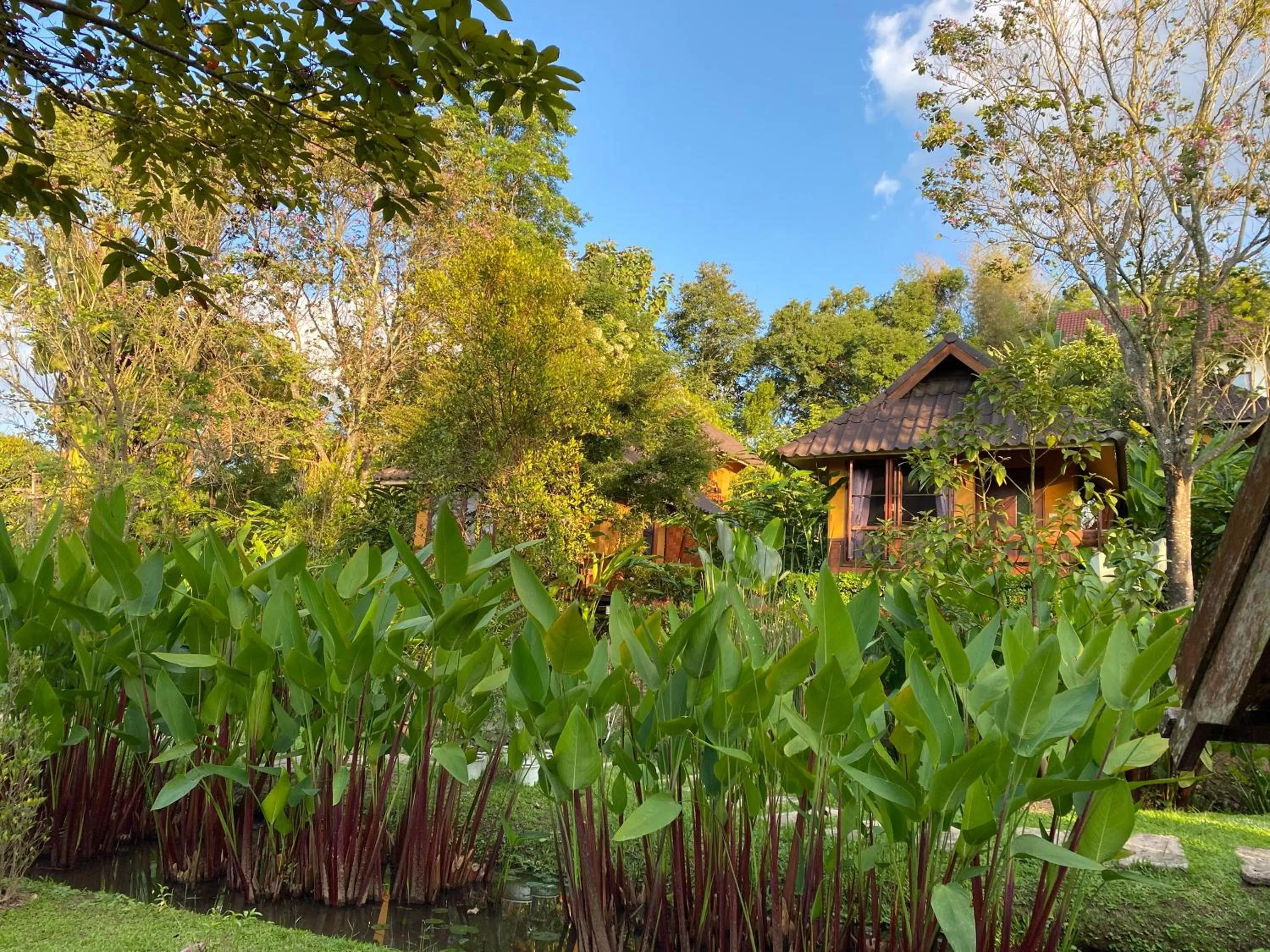 Garden in Pura Vida Pai Resort