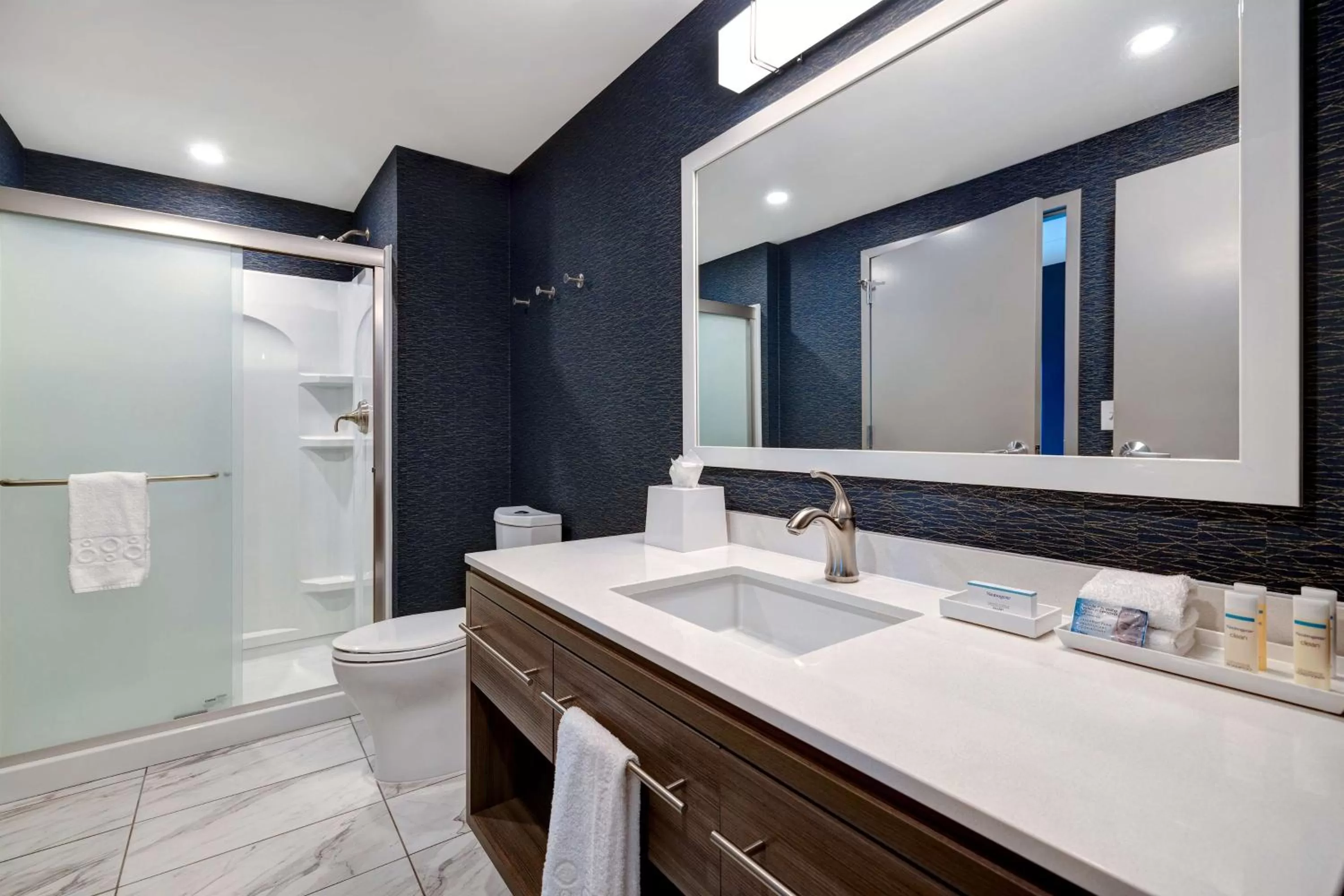 Bathroom in Home2 Suites By Hilton Nashville Downtown-Metrocenter