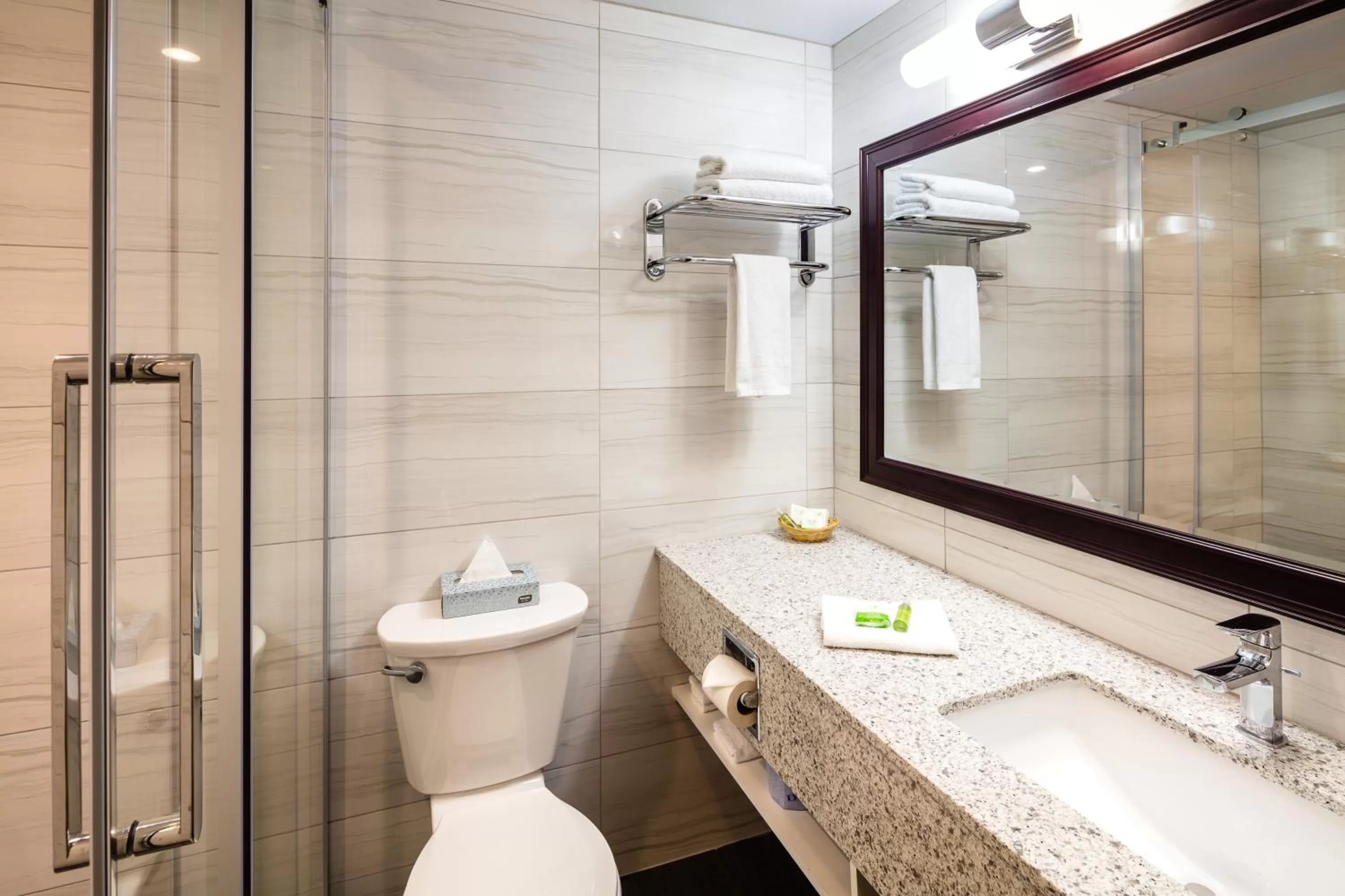 Shower in Auberge Royal Versailles