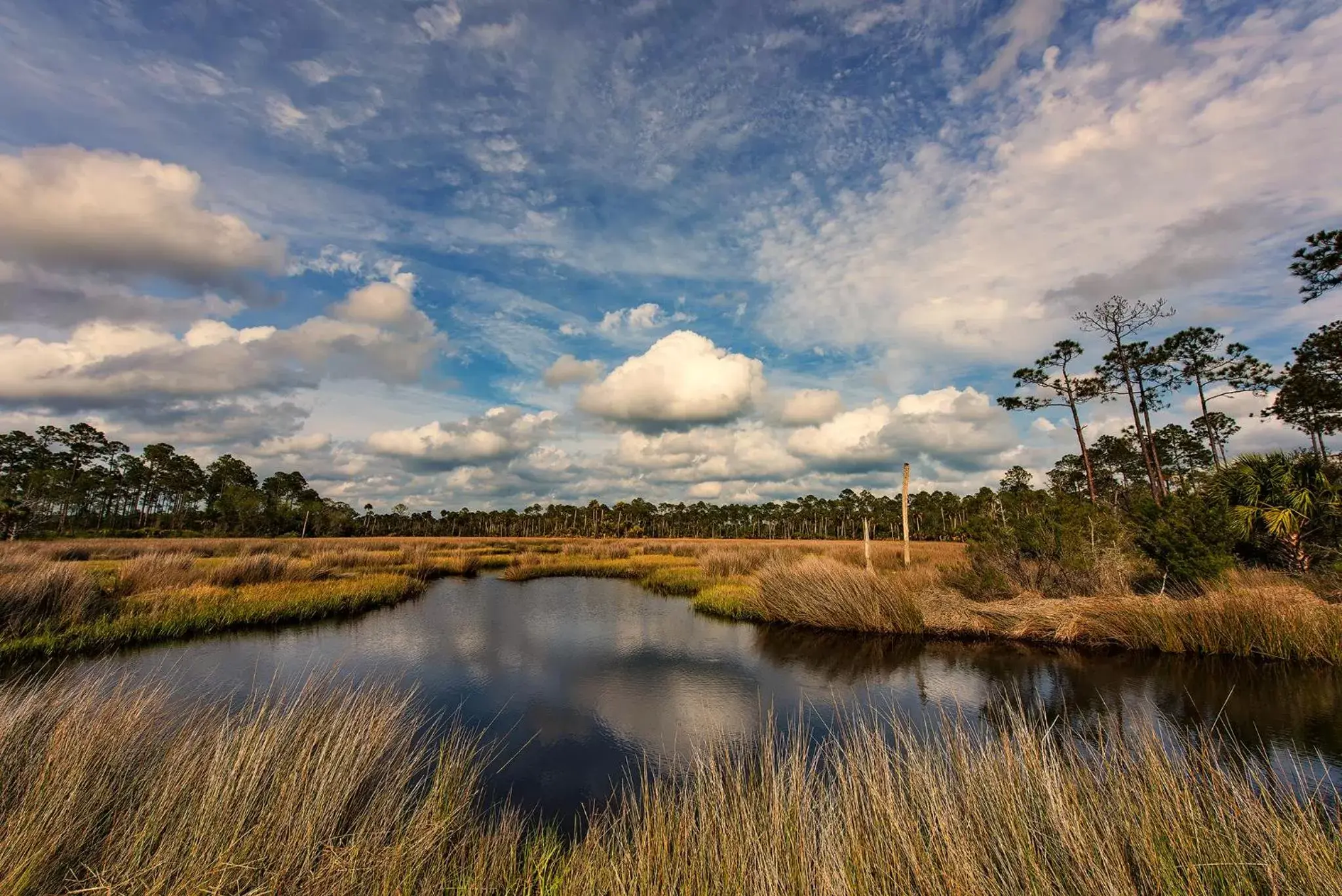 Off site, Natural Landscape in Steinhatchee River Inn and Marina