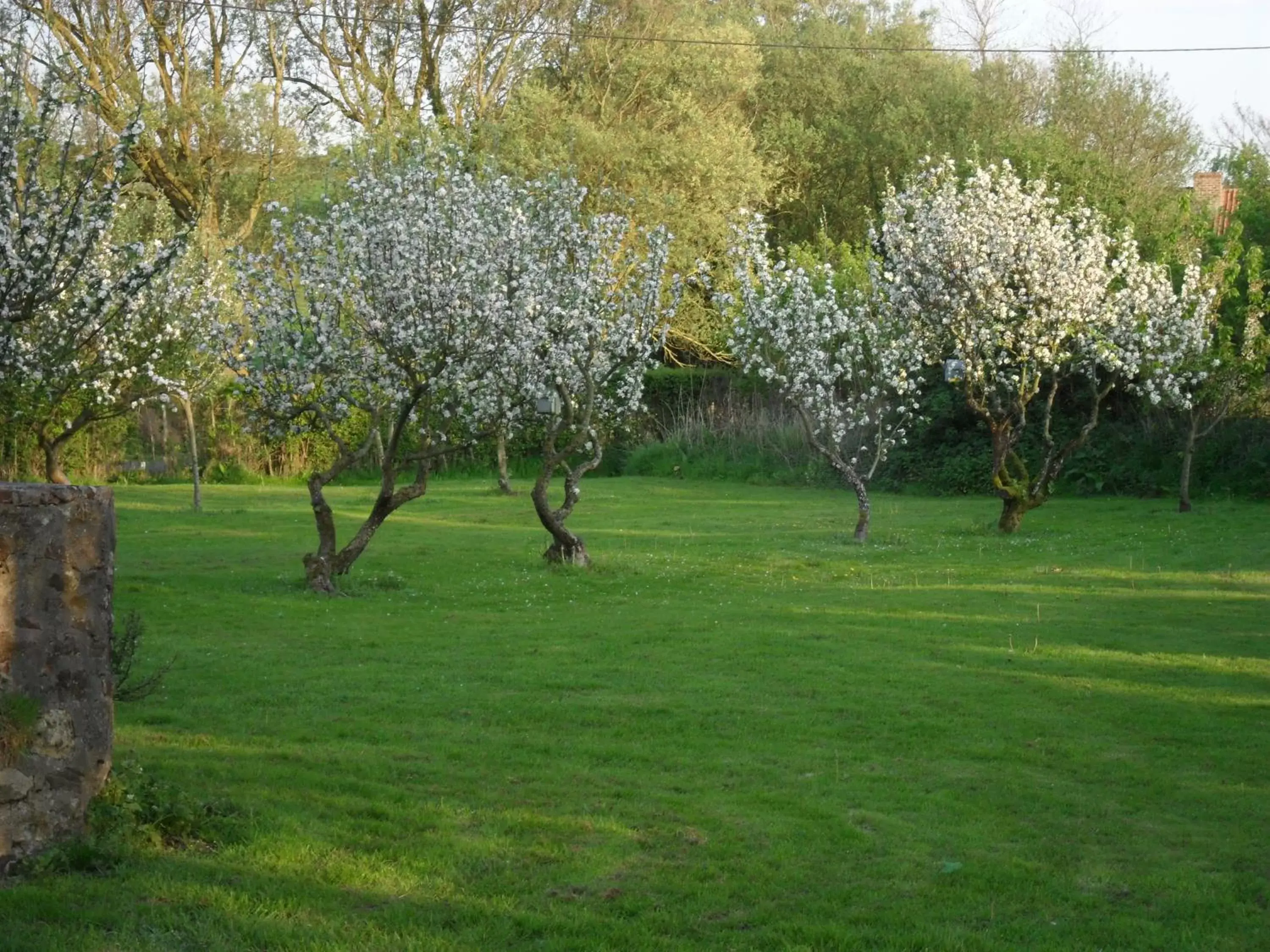 Spring, Garden in Domaine de la Ronville