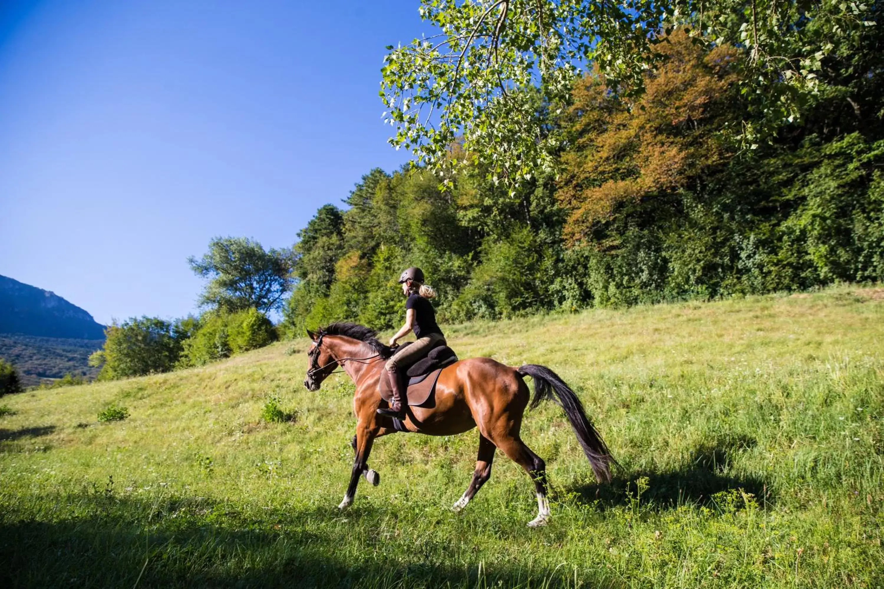 Nearby landmark, Horseback Riding in Hotel Restaurant Les Brases