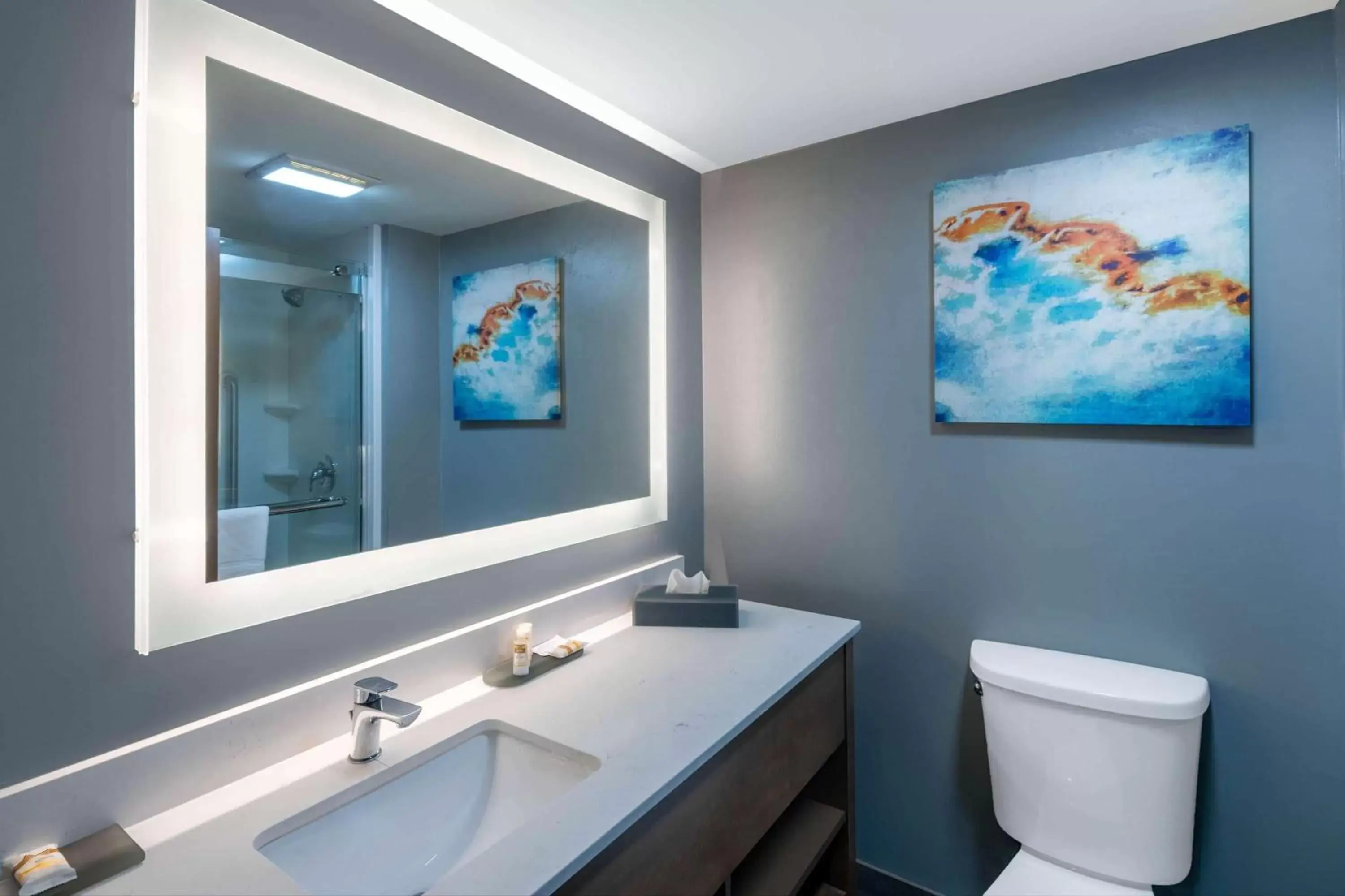 Bathroom in La Quinta Inn & Suites by Wyndham-Albany GA