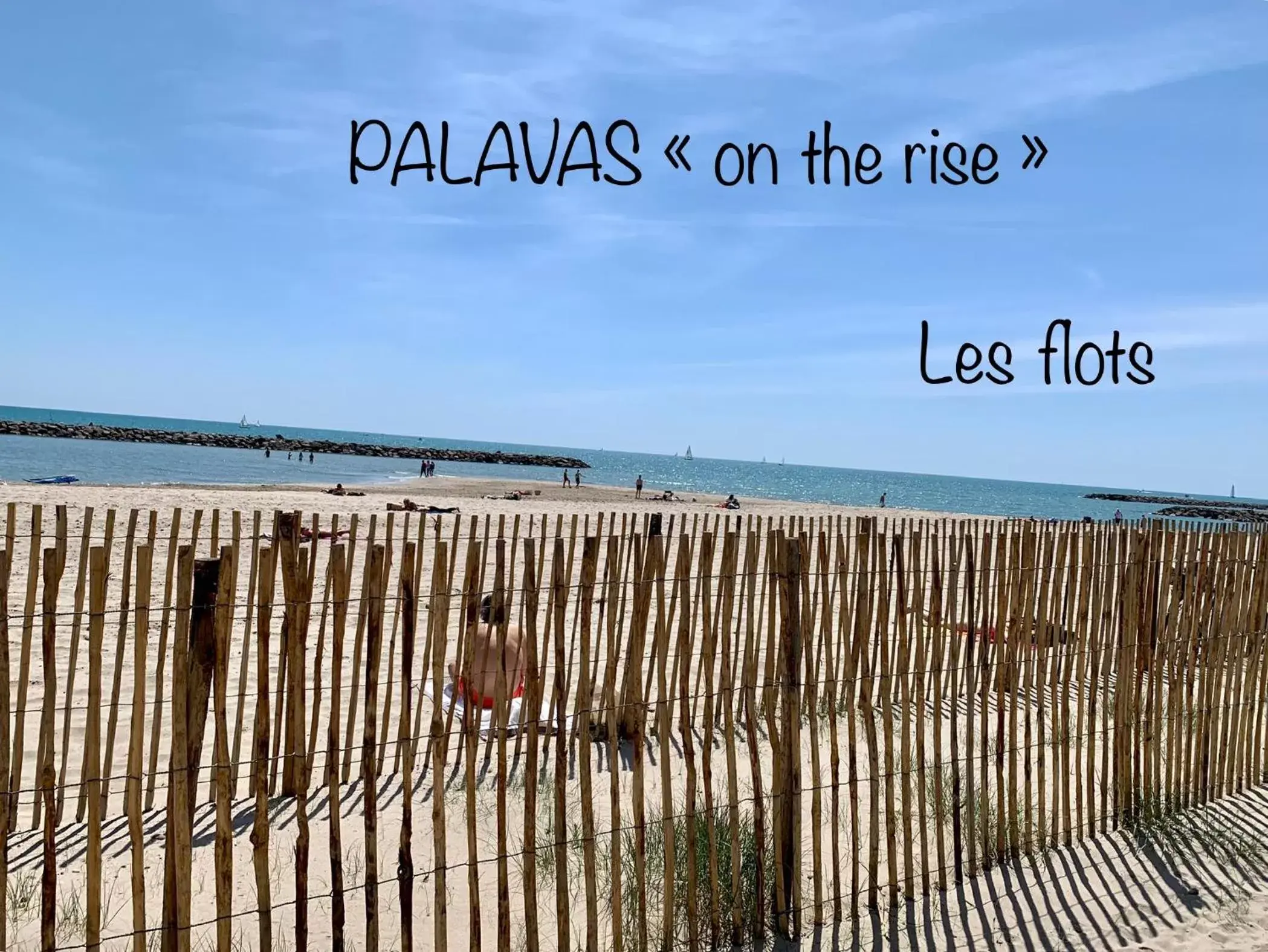 Natural landscape, Beach in Amerique Hotel Palavas - Piscine & Parking - Plage